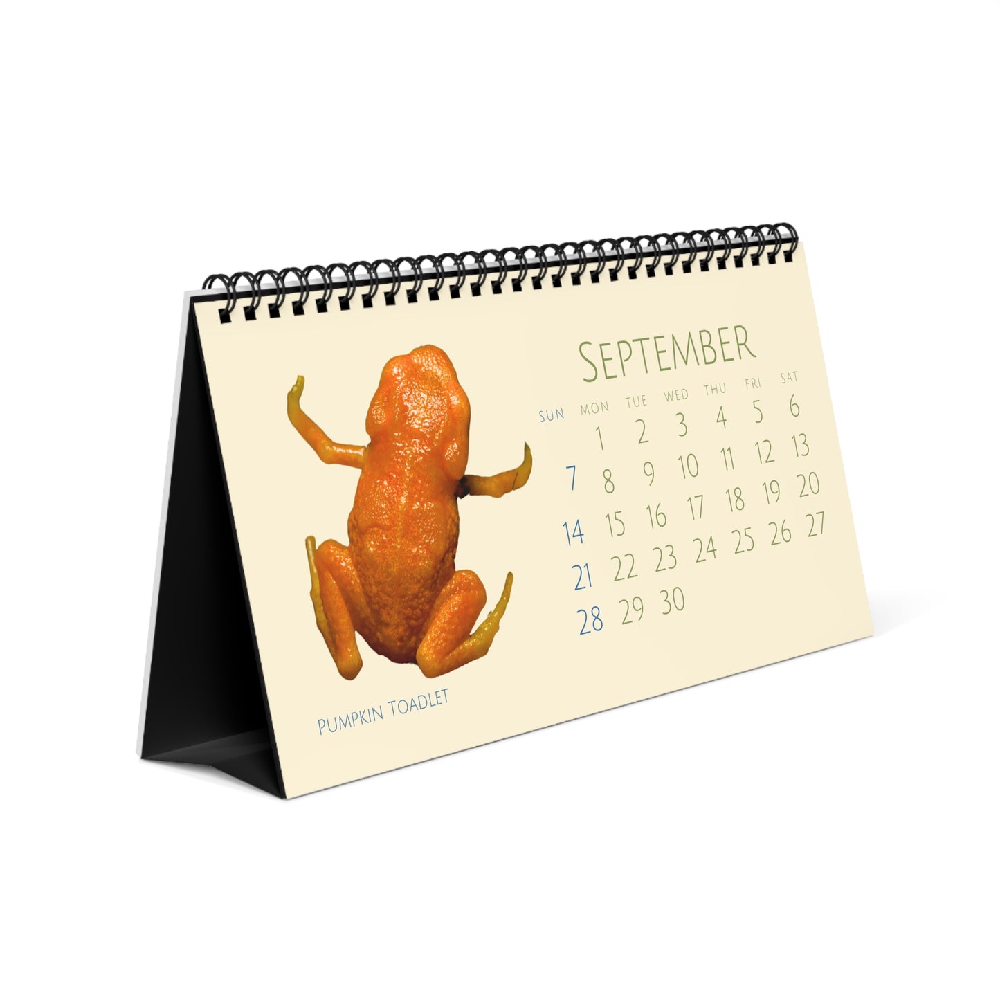 Frogs & Toads of 2025 Desktop Calendar