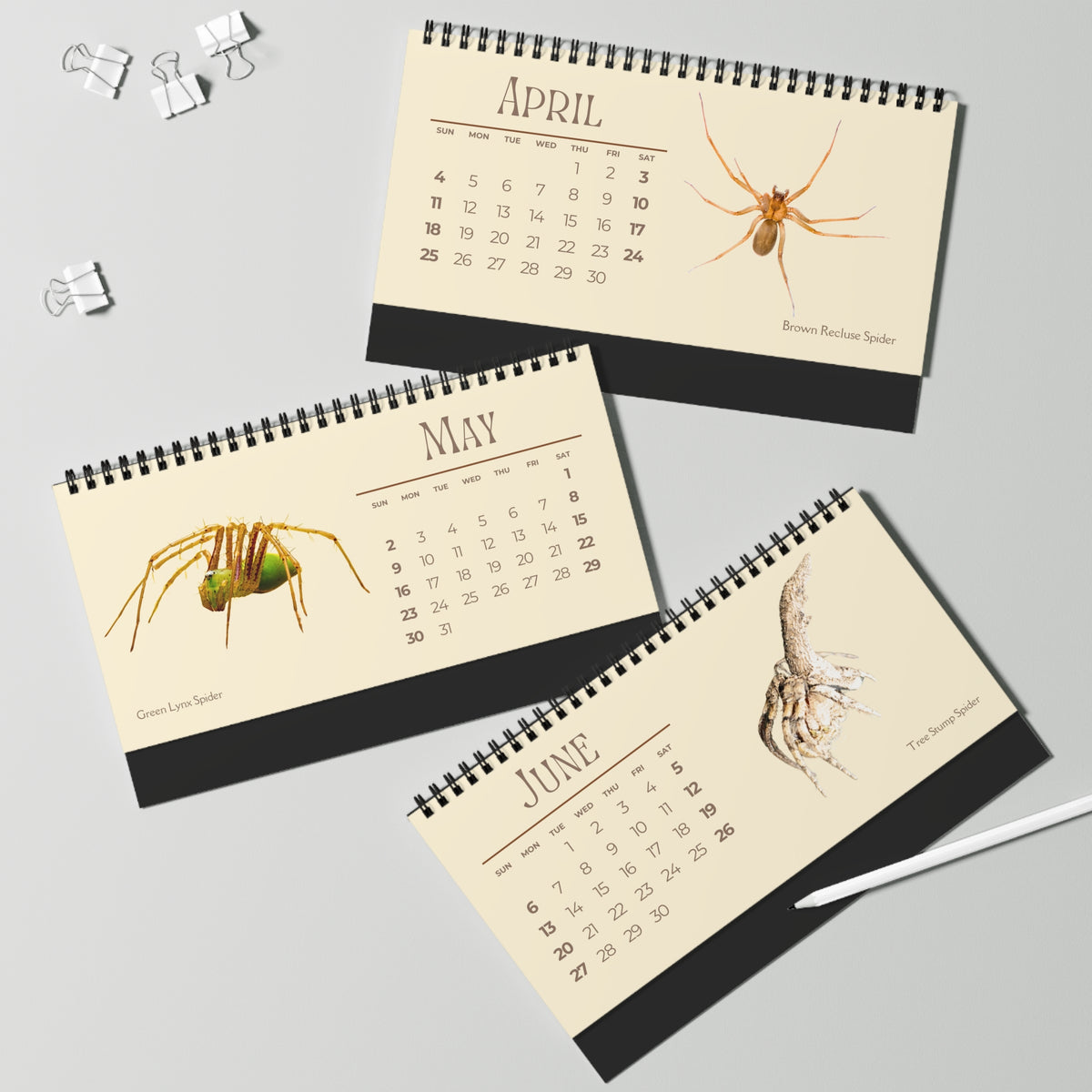 Spiders of 2027 Desktop Calendar