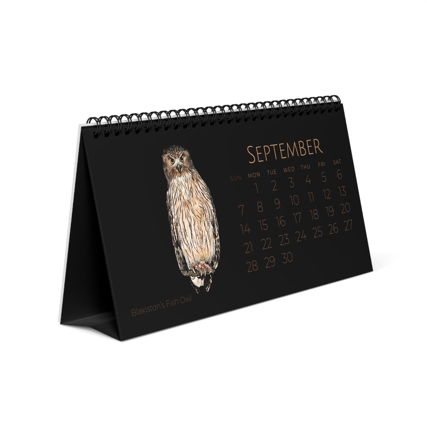 Owls of 2025 Desktop Calendar