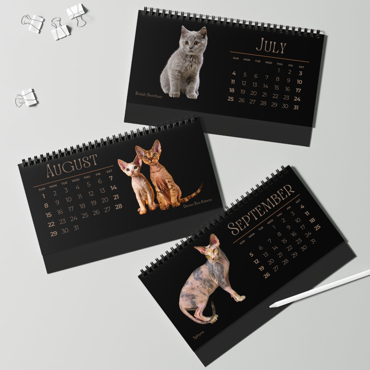 Fantastic Felines of 2027 Desktop Calendar