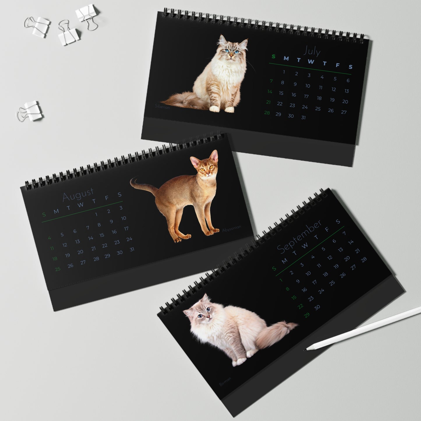 Fantastic Felines of 2024 Desk Calendar