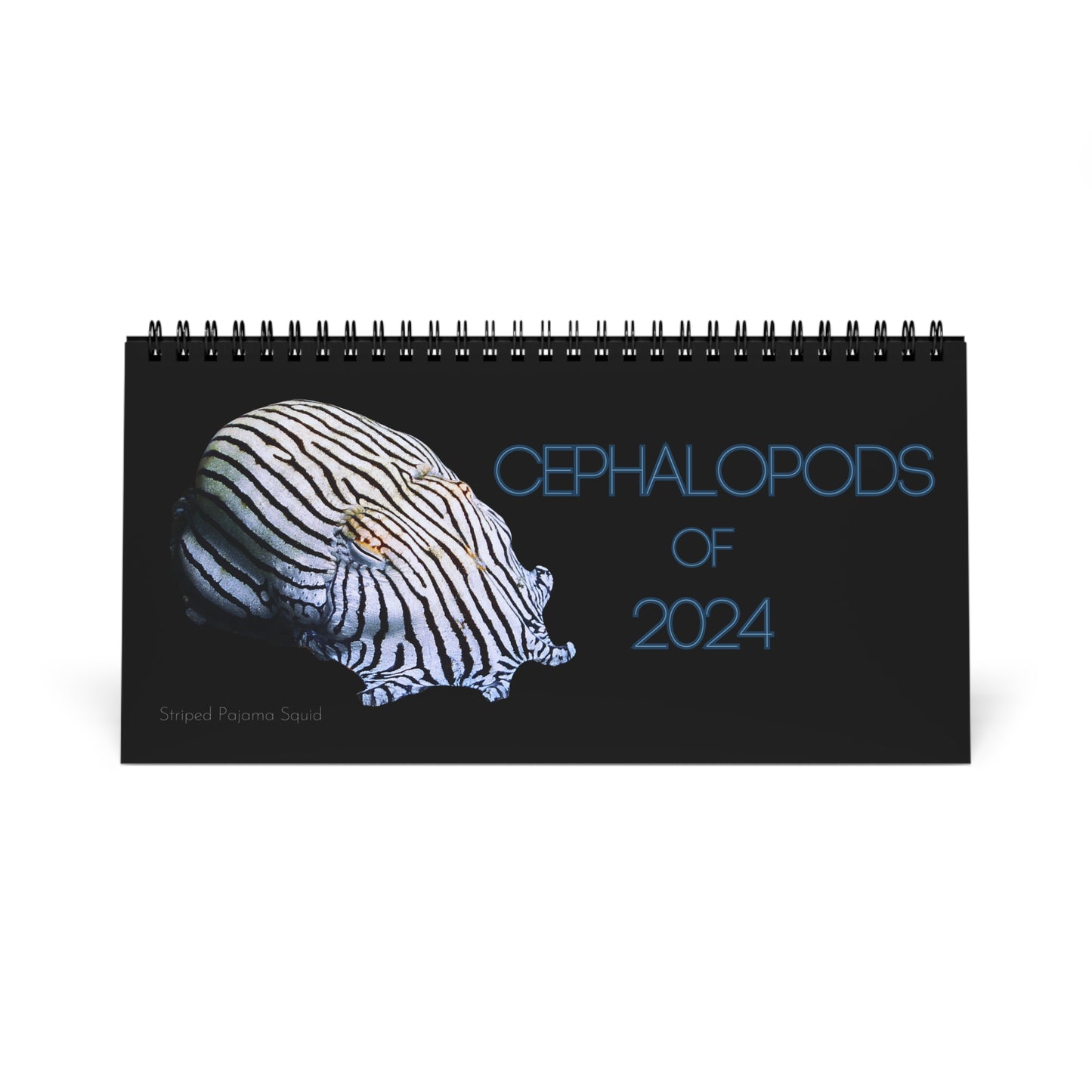 Cephalopods of 2024 Desk Calendar