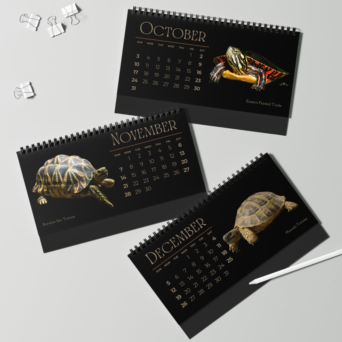 Toughest Turtles of 2027 Desktop Calendar