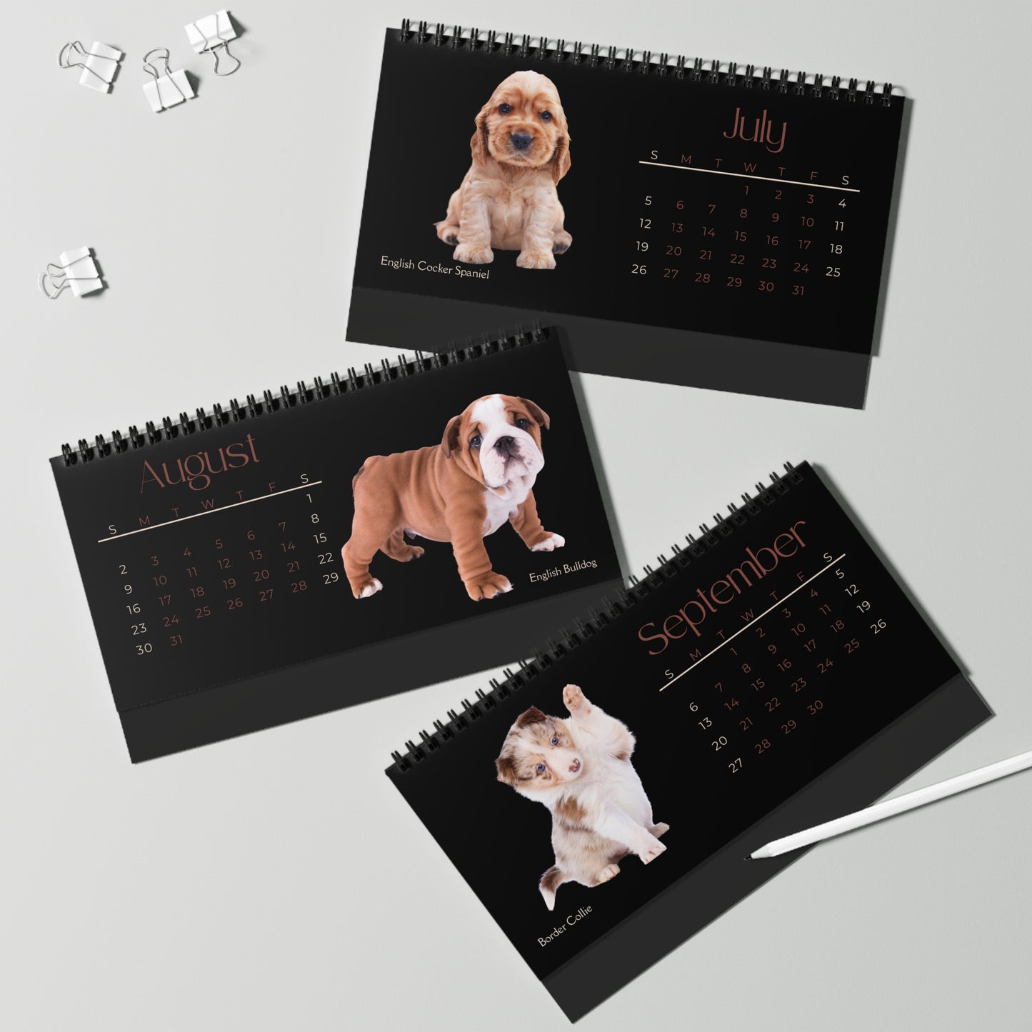 Real Puppies of 2026 Desktop Calendar