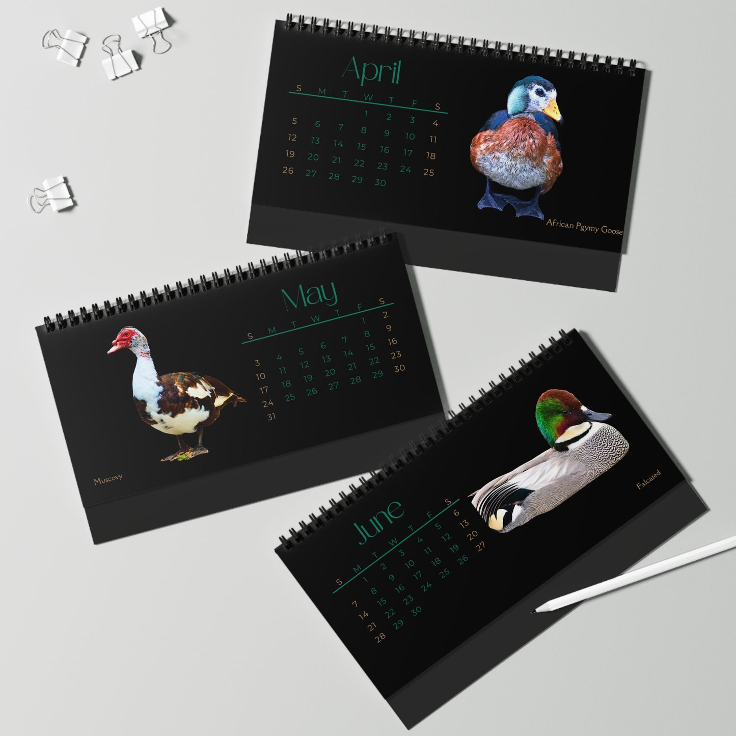 Dapper Ducks of 2026 Desktop Calendar