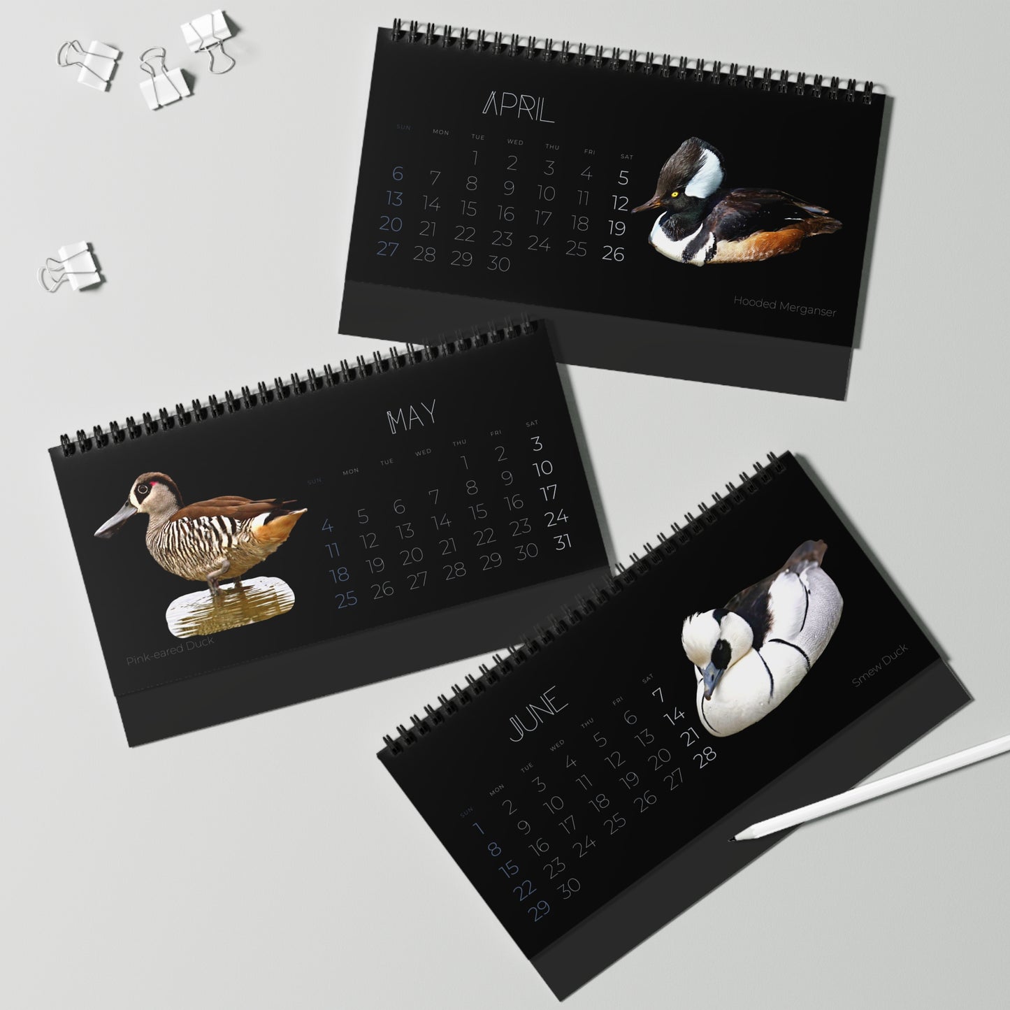 Dapper Ducks of 2025 Desktop Calendar