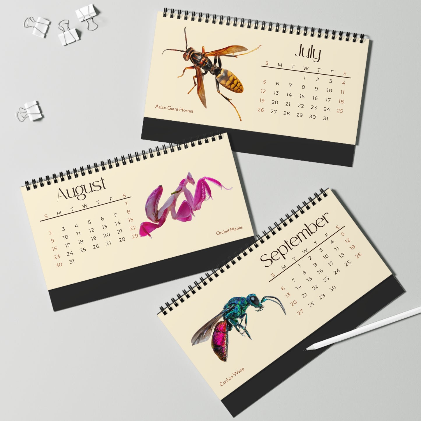 Incredible Insects of 2026 Desktop Calendar