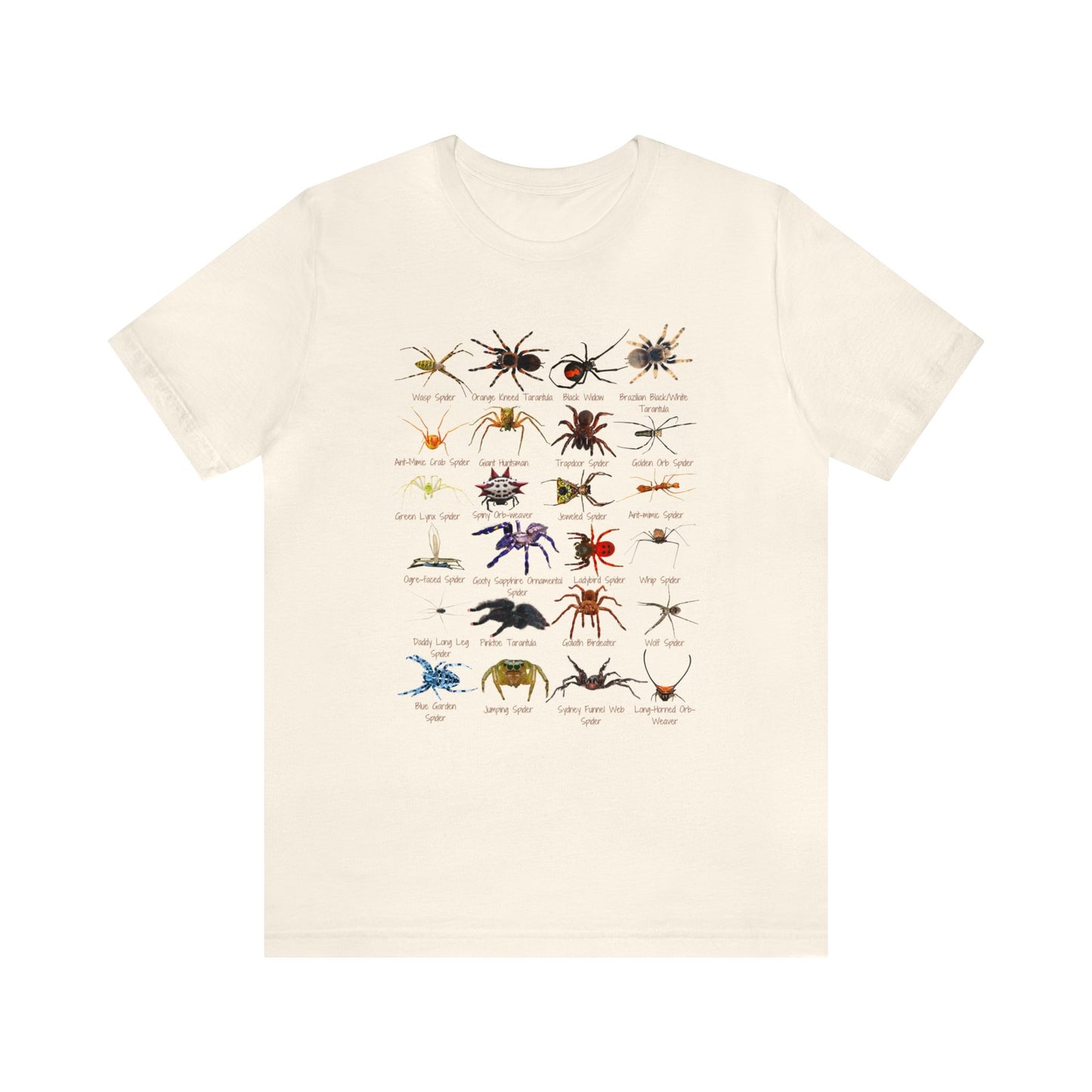 Stupendous Spiders T-shirt with 24 unique spiders