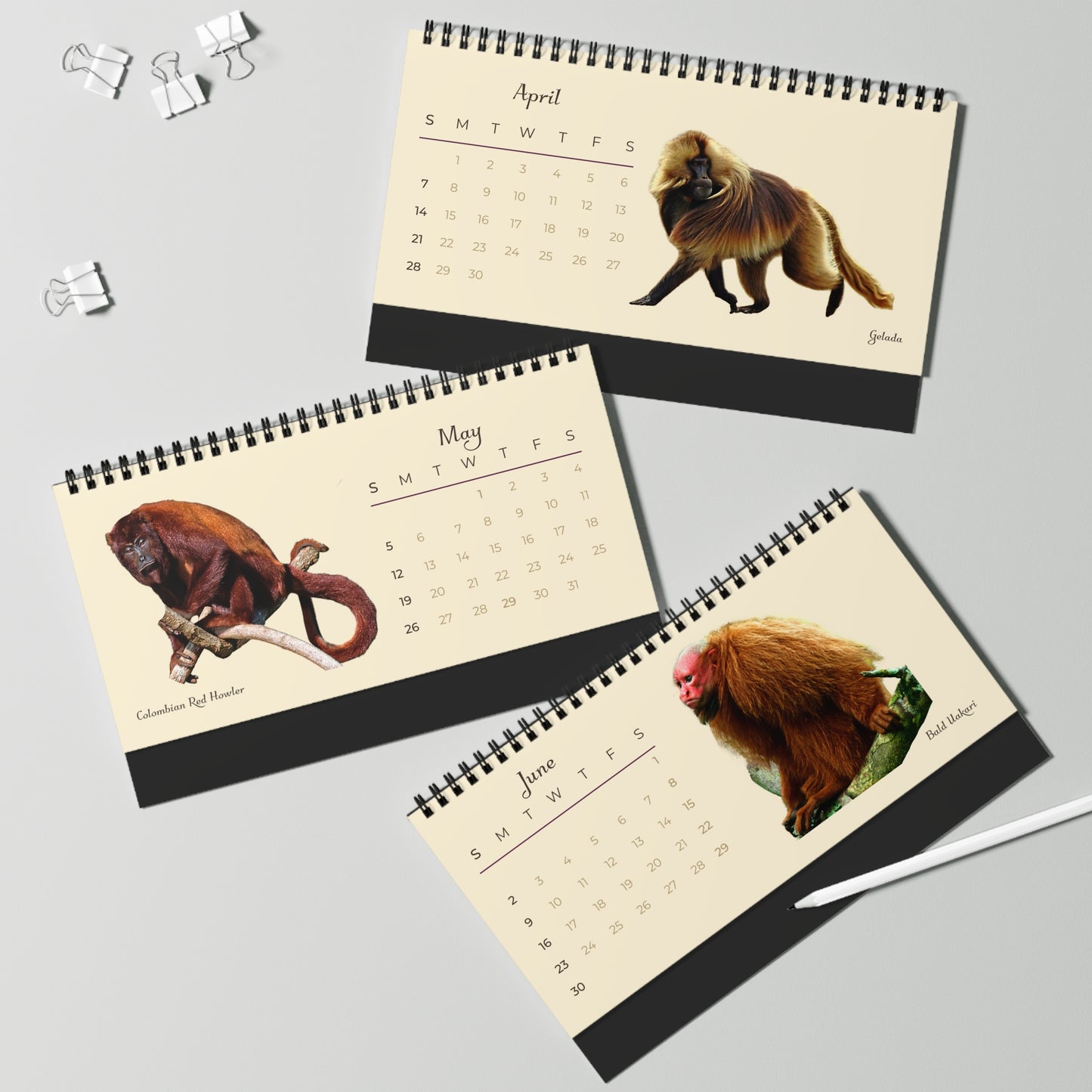 Mightiest Monkeys of 2024 Desk Calendar