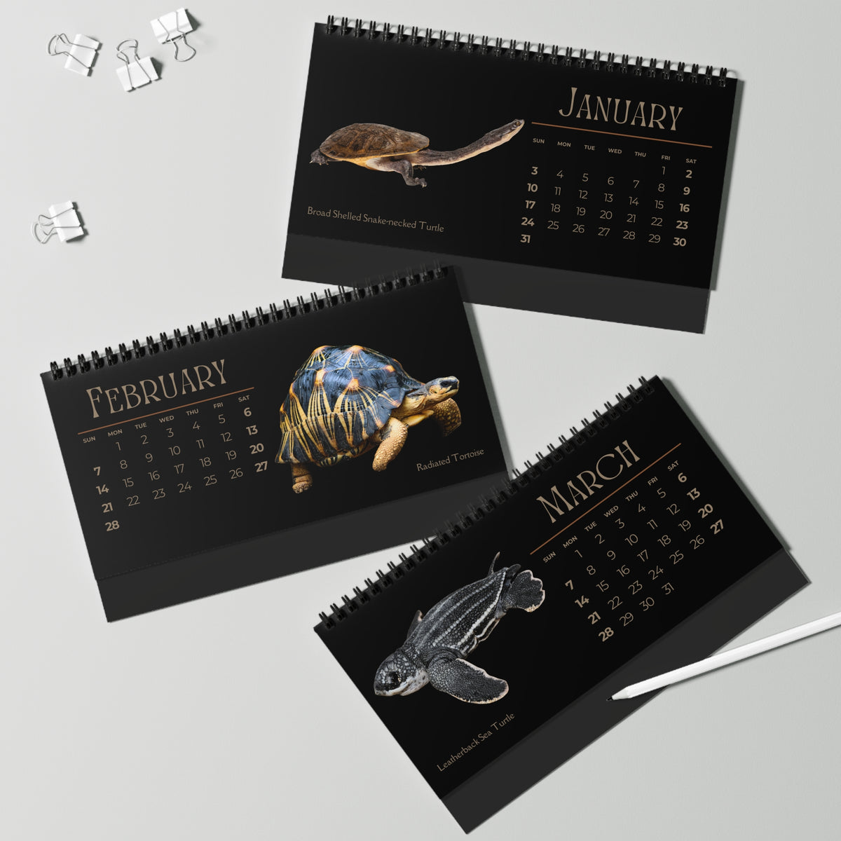 Toughest Turtles of 2027 Desktop Calendar