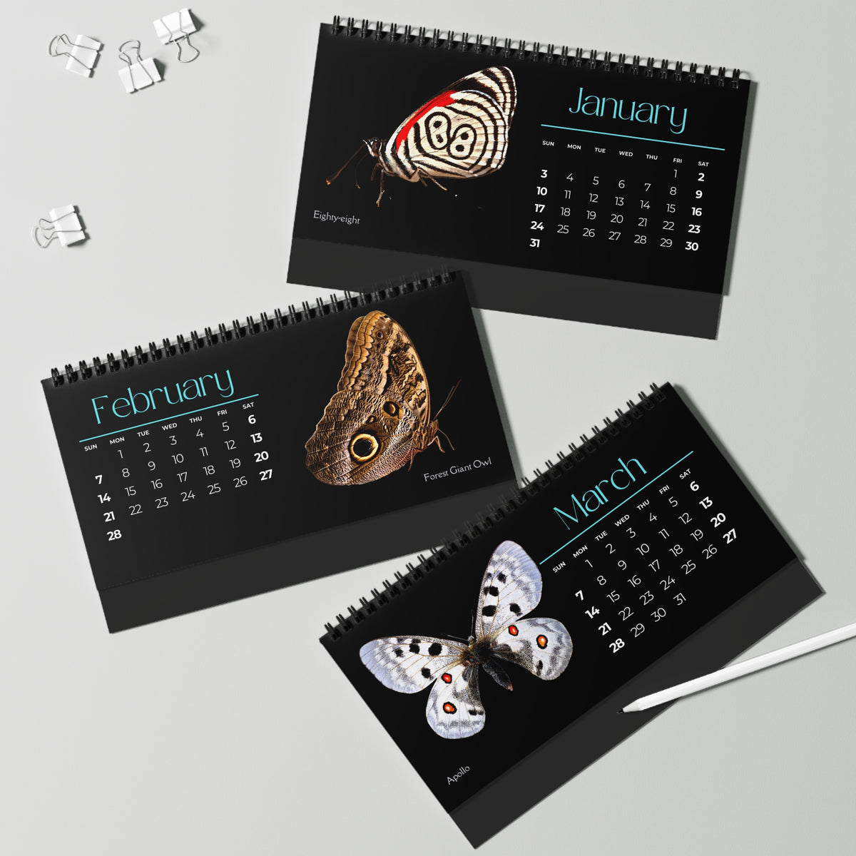 Beautiful Butterflies of 2027 Desktop Calendar