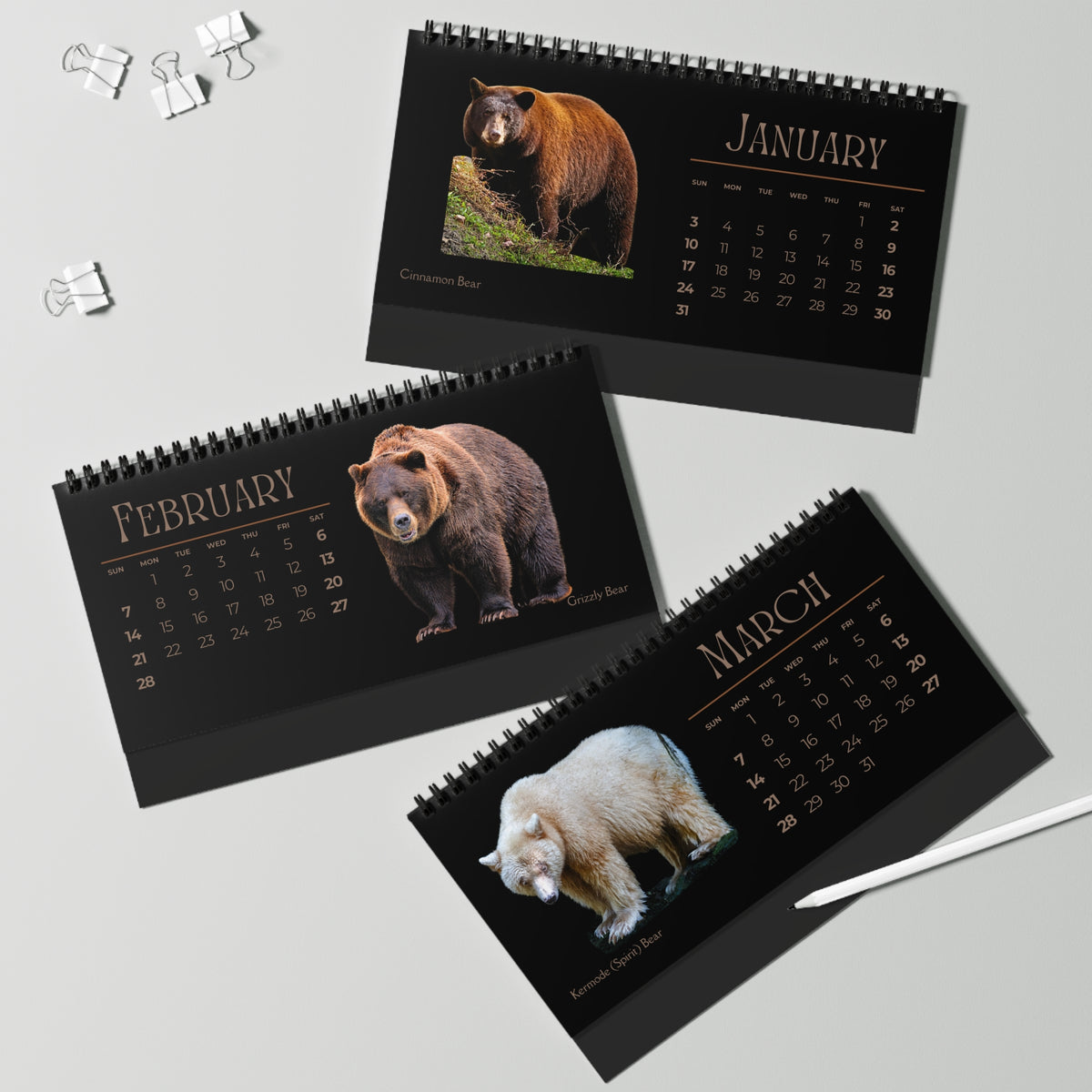 Bodacious Bears of 2027 Desktop Calendar