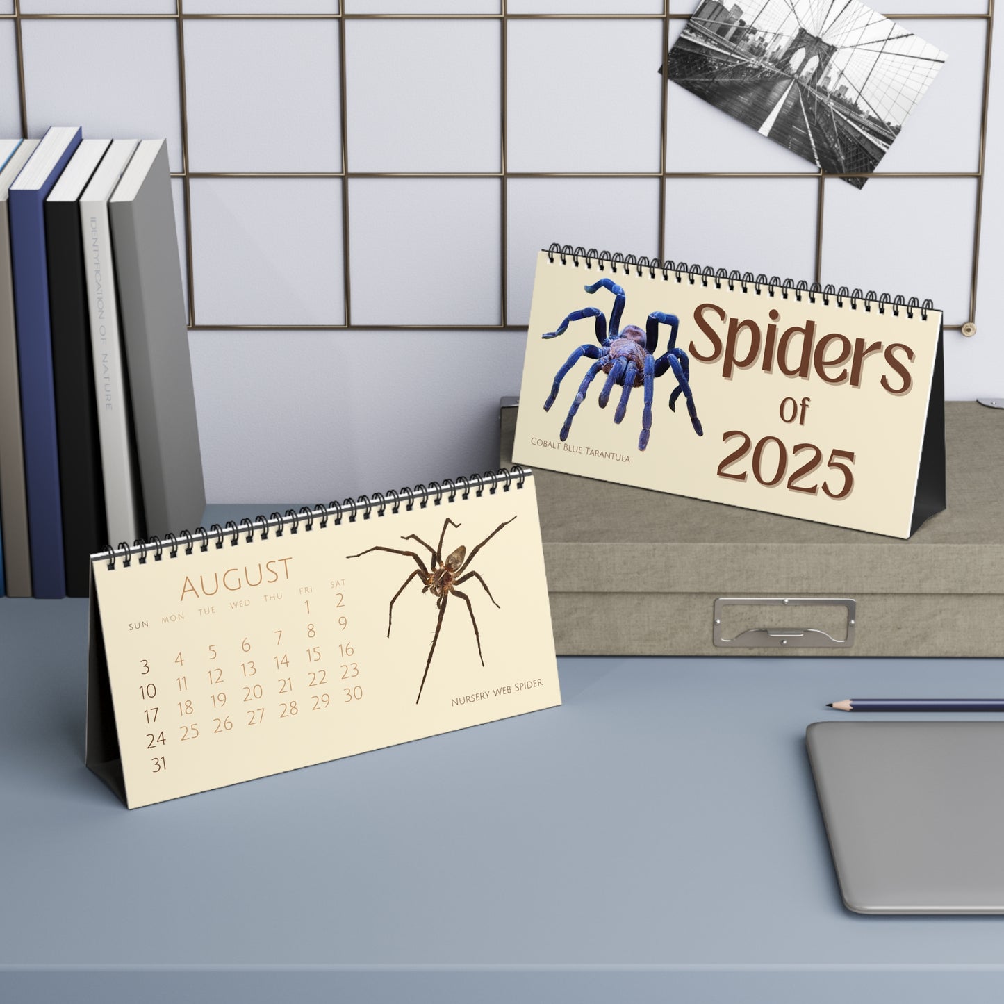 Spiders of 2025 Desktop Calendar