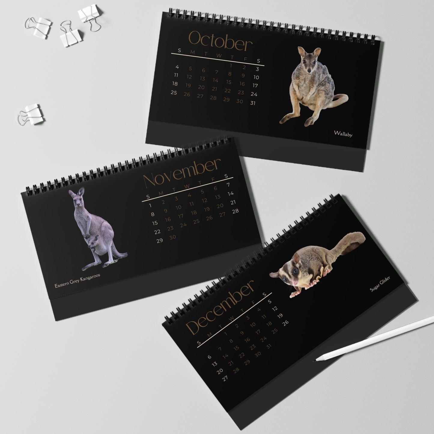 Magnificent Marsupials of 2026 Desktop Calendar