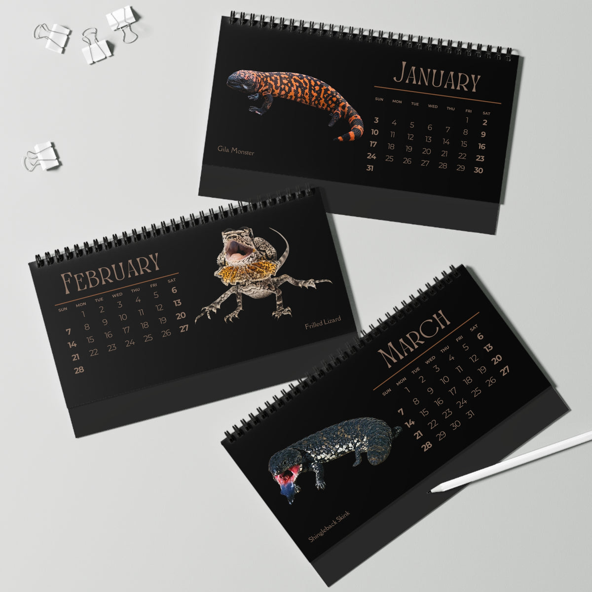 Legendary Lizards of 2027 Desktop Calendar