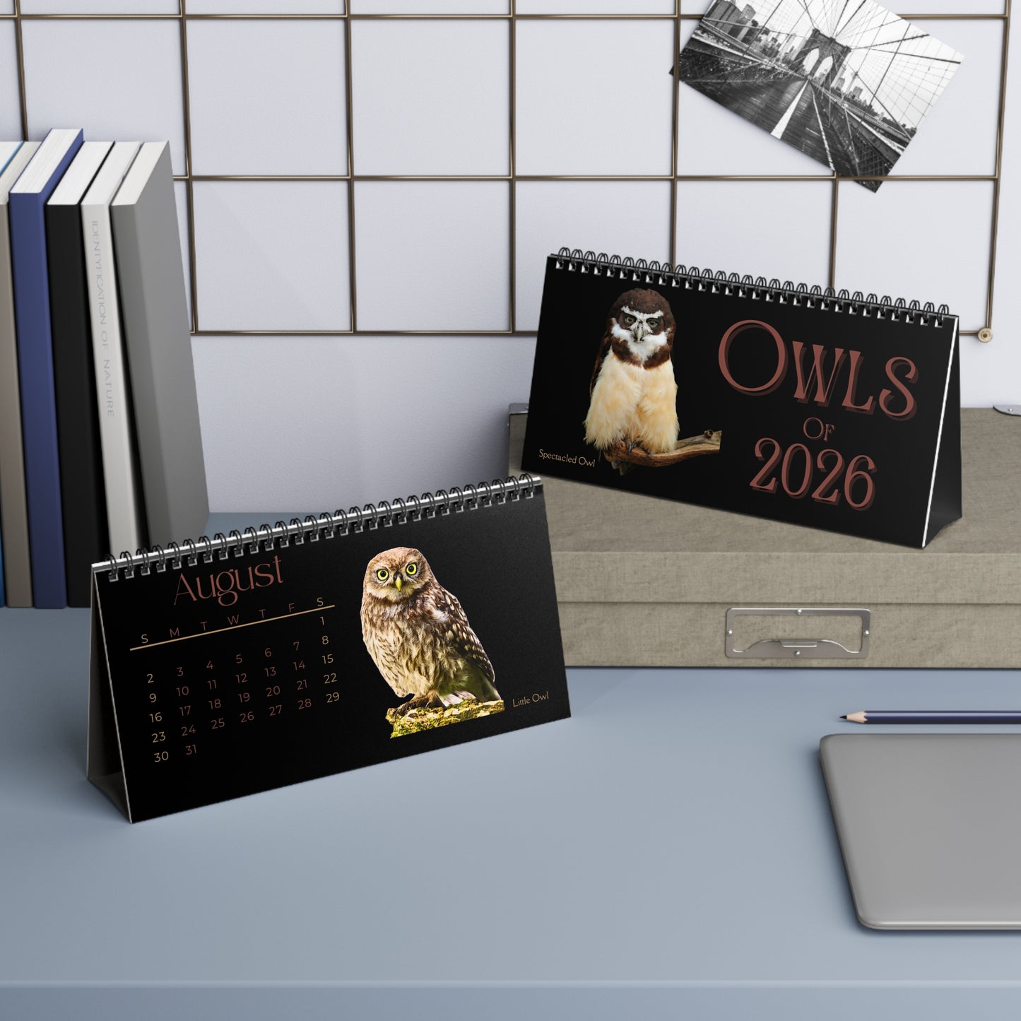 Owls of 2026 Desktop Calendar