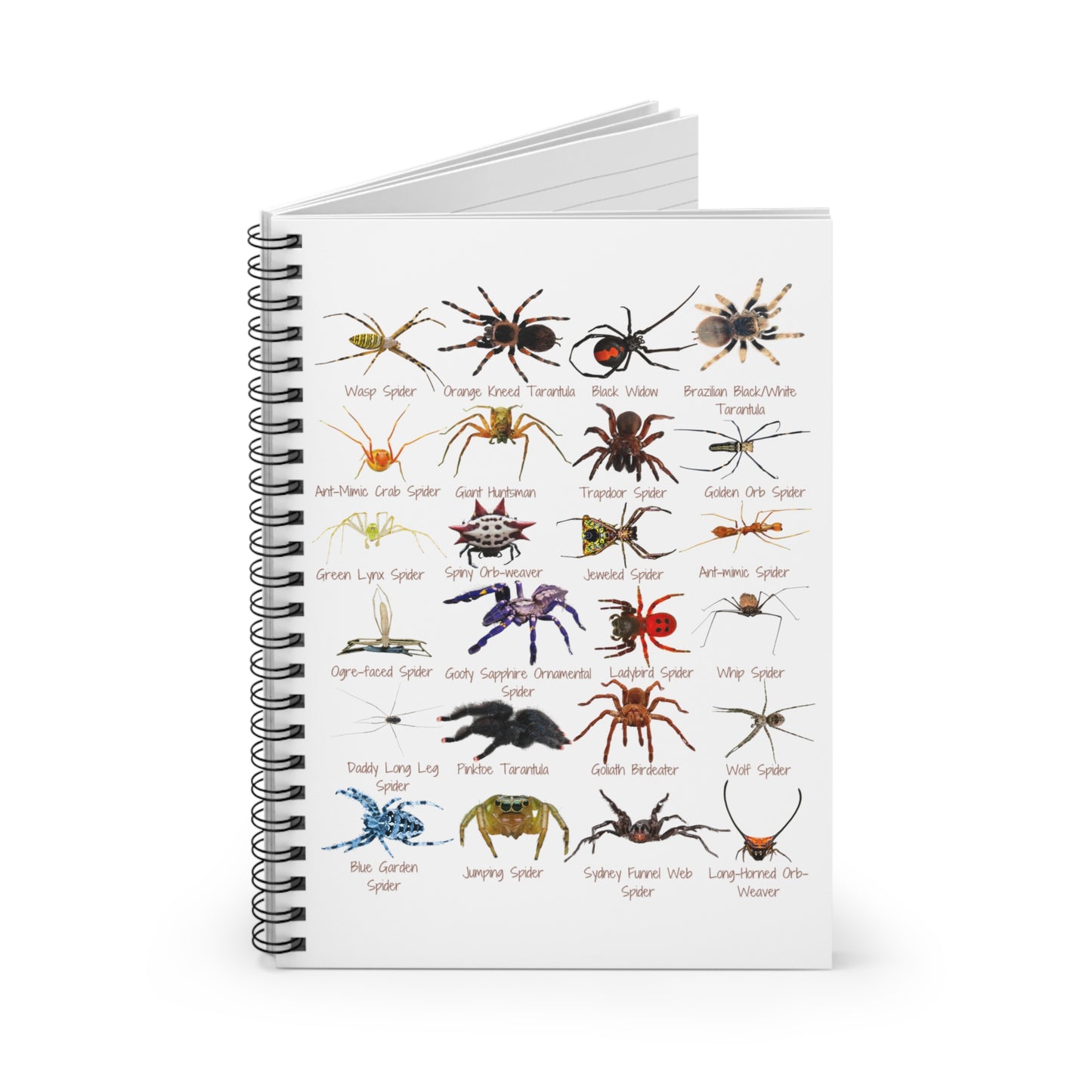 Stupendous Spiders Spiral Notebook - Ruled Line