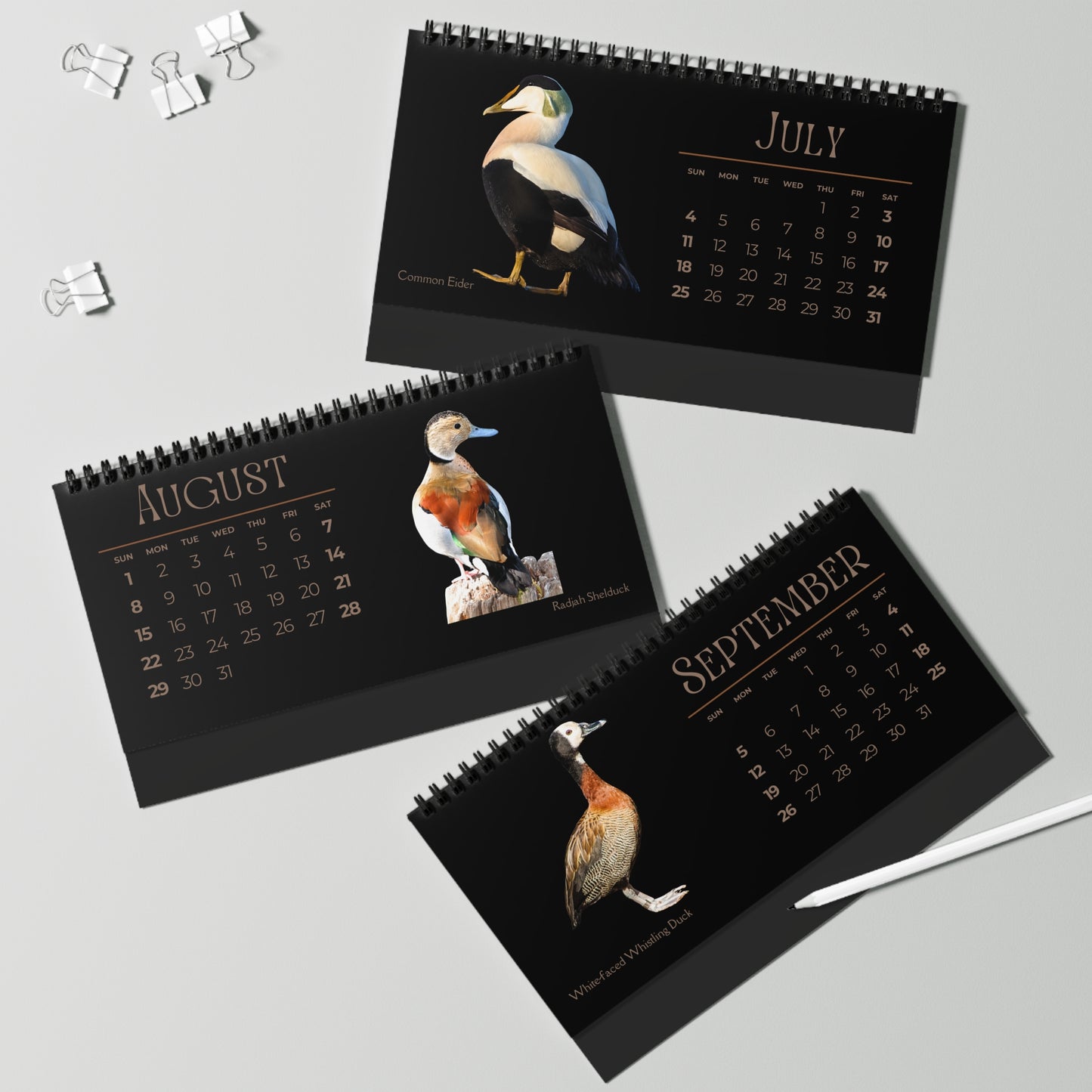 Dapper Ducks of 2027 Desktop Calendar