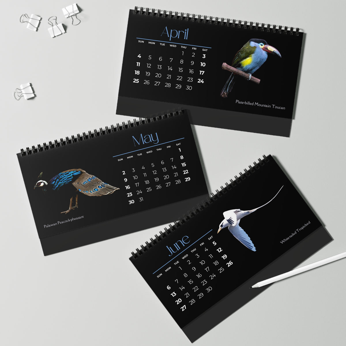 Brilliant Birds of 2027 Desktop Calendar