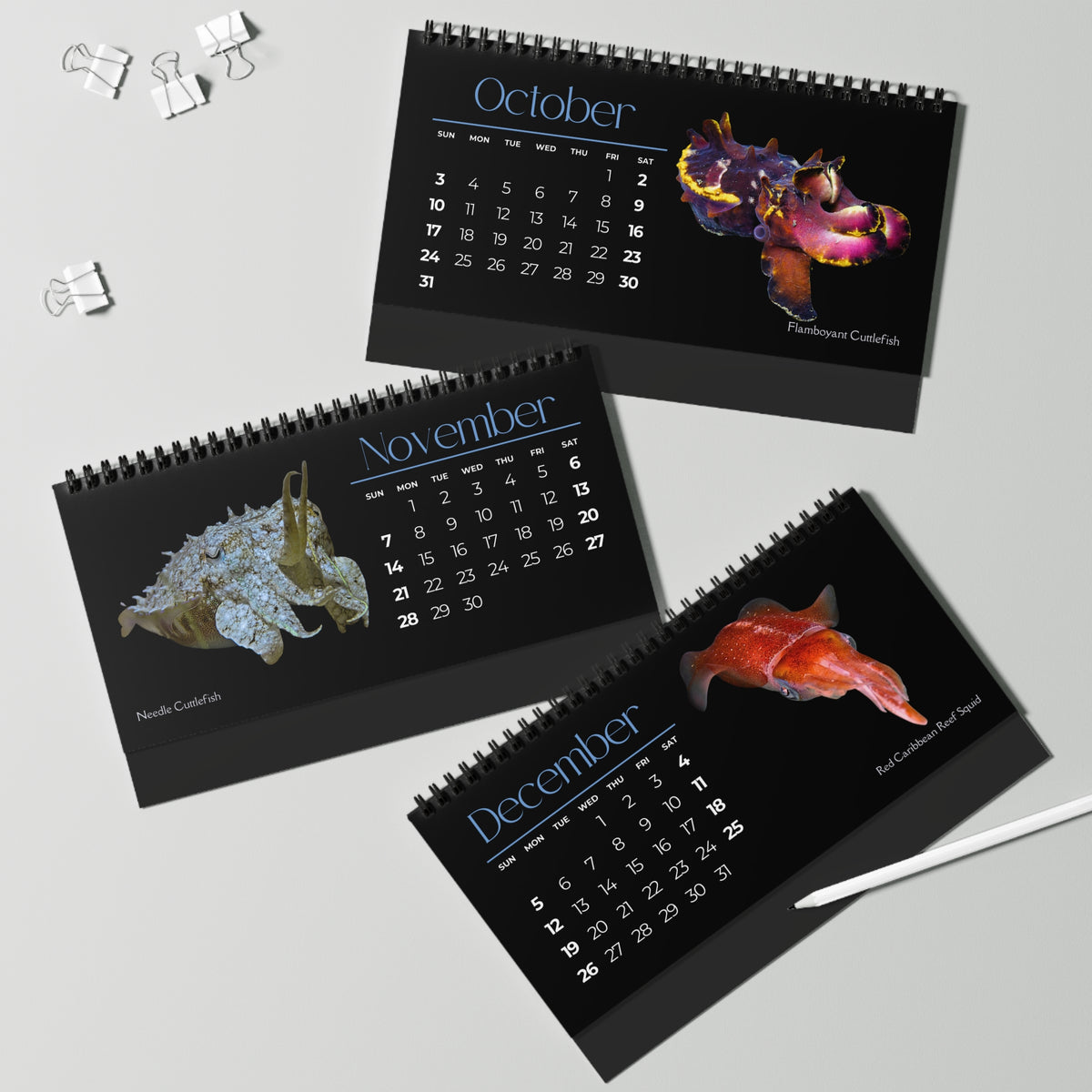 Cephalopods of 2027 Desktop Calendar