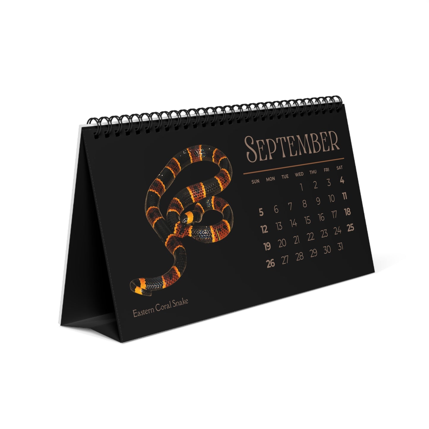Striking Snakes of 2027 Desktop Calendar