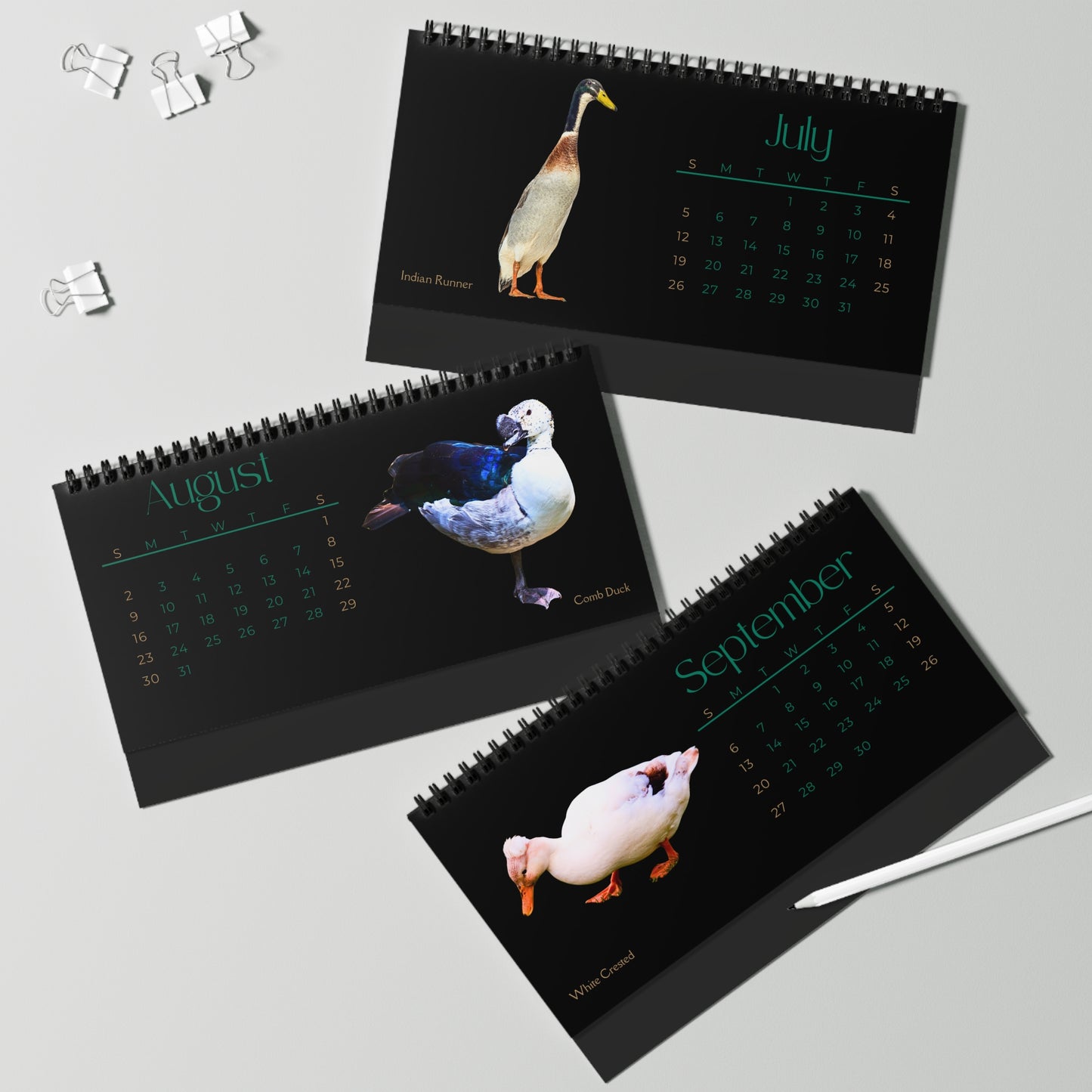 Dapper Ducks of 2026 Desktop Calendar