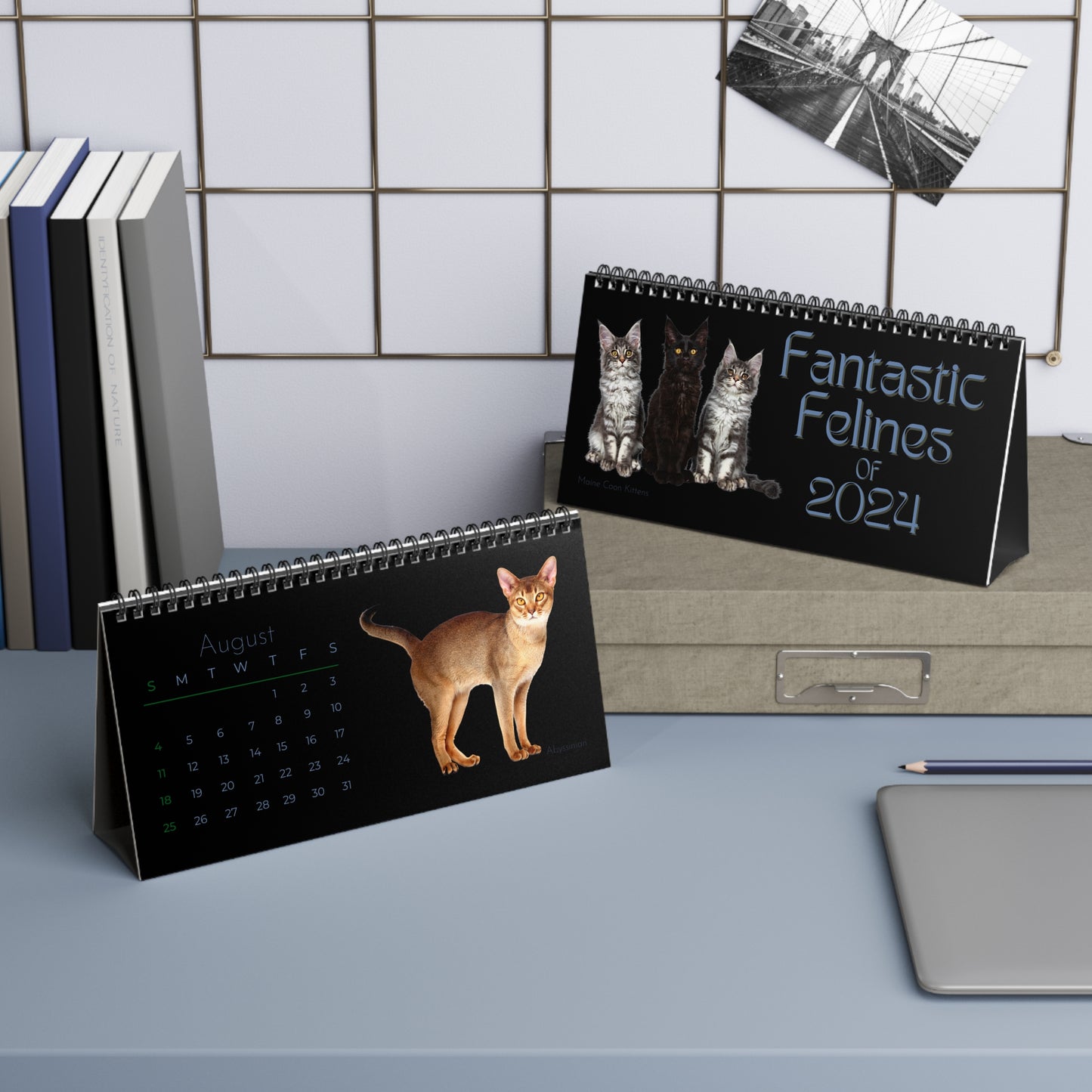 Fantastic Felines of 2024 Desk Calendar