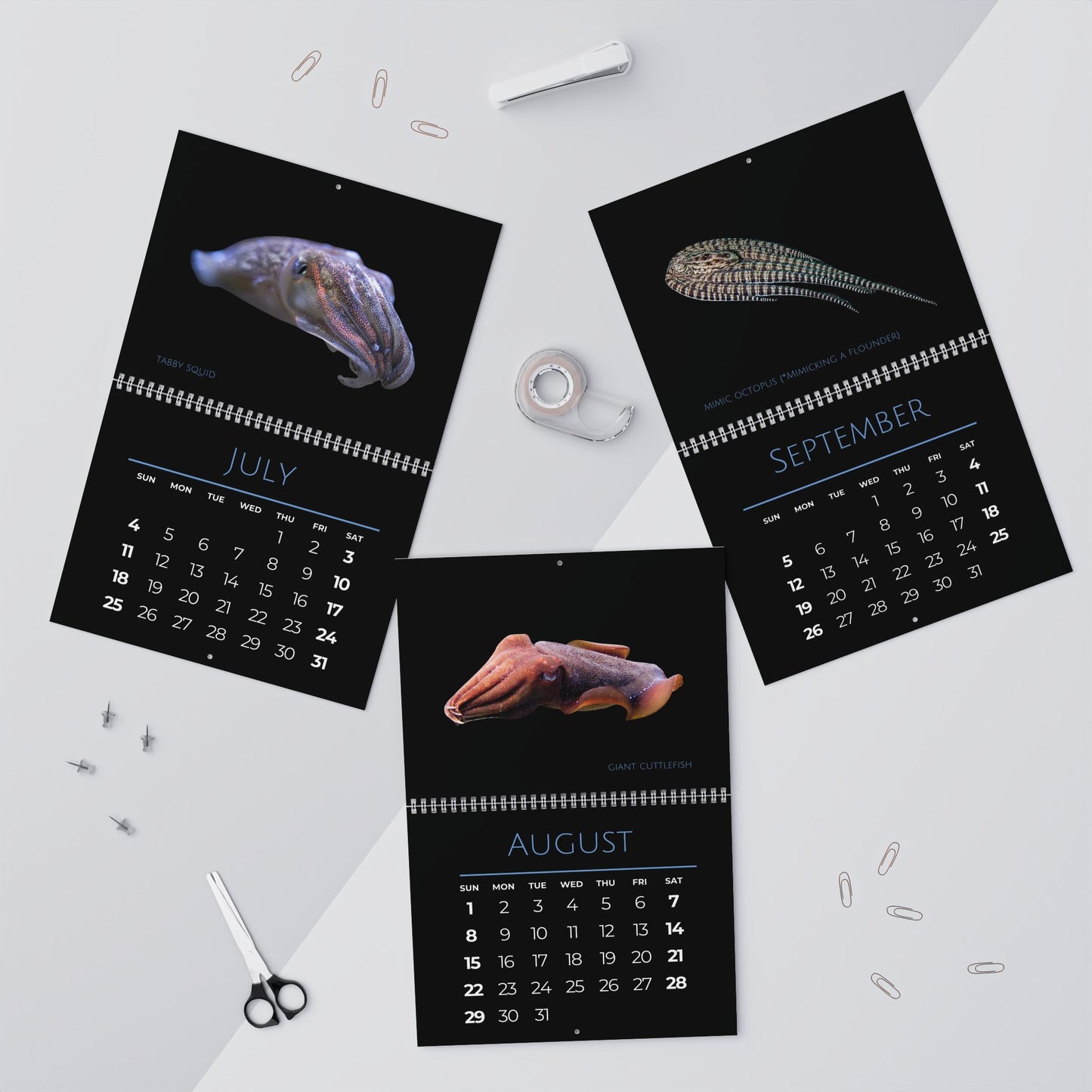 Cephalopods of 2027 Wall Calendars