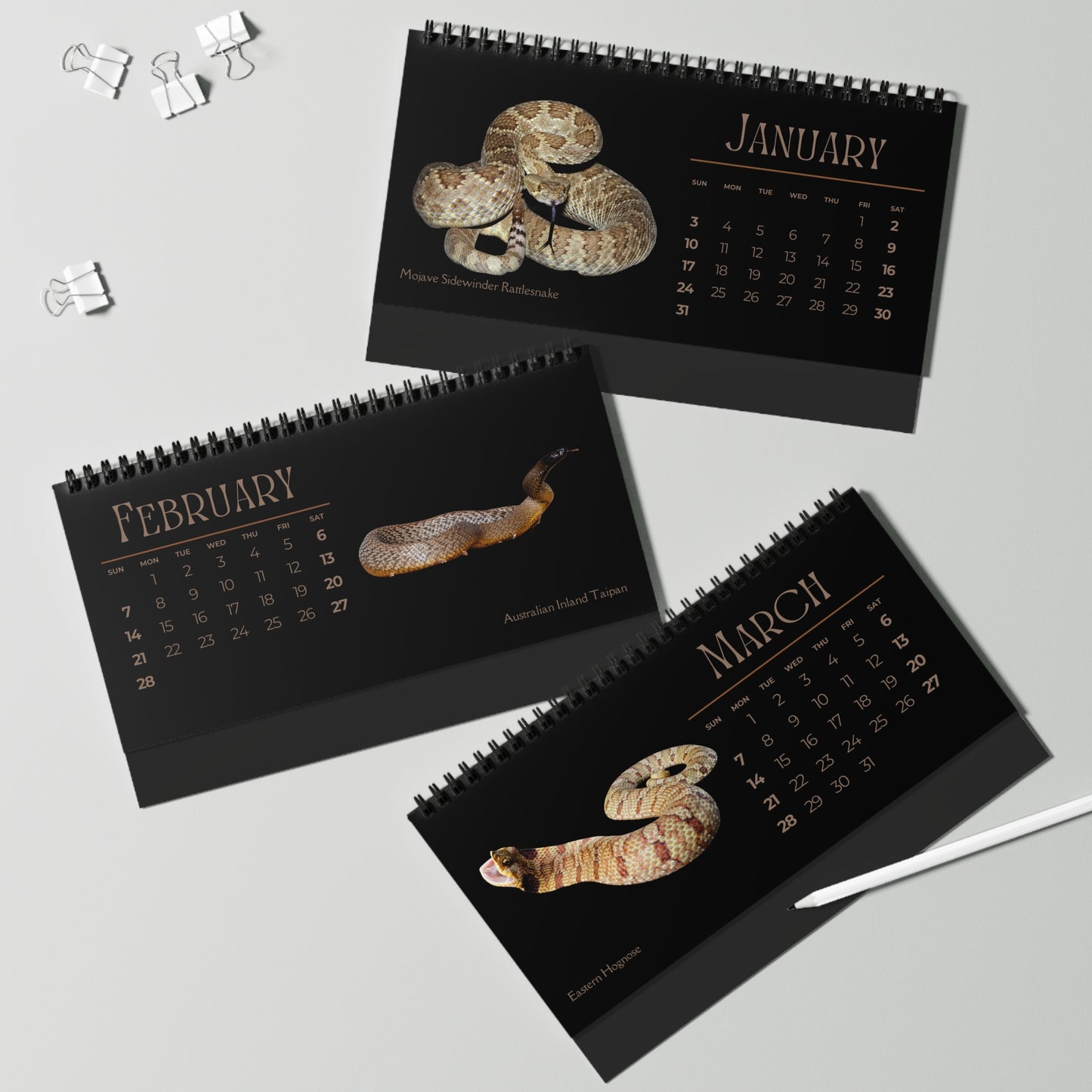 Striking Snakes of 2027 Desktop Calendar