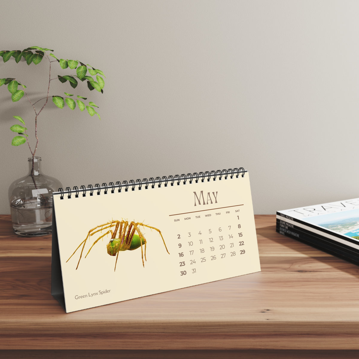 Spiders of 2027 Desktop Calendar
