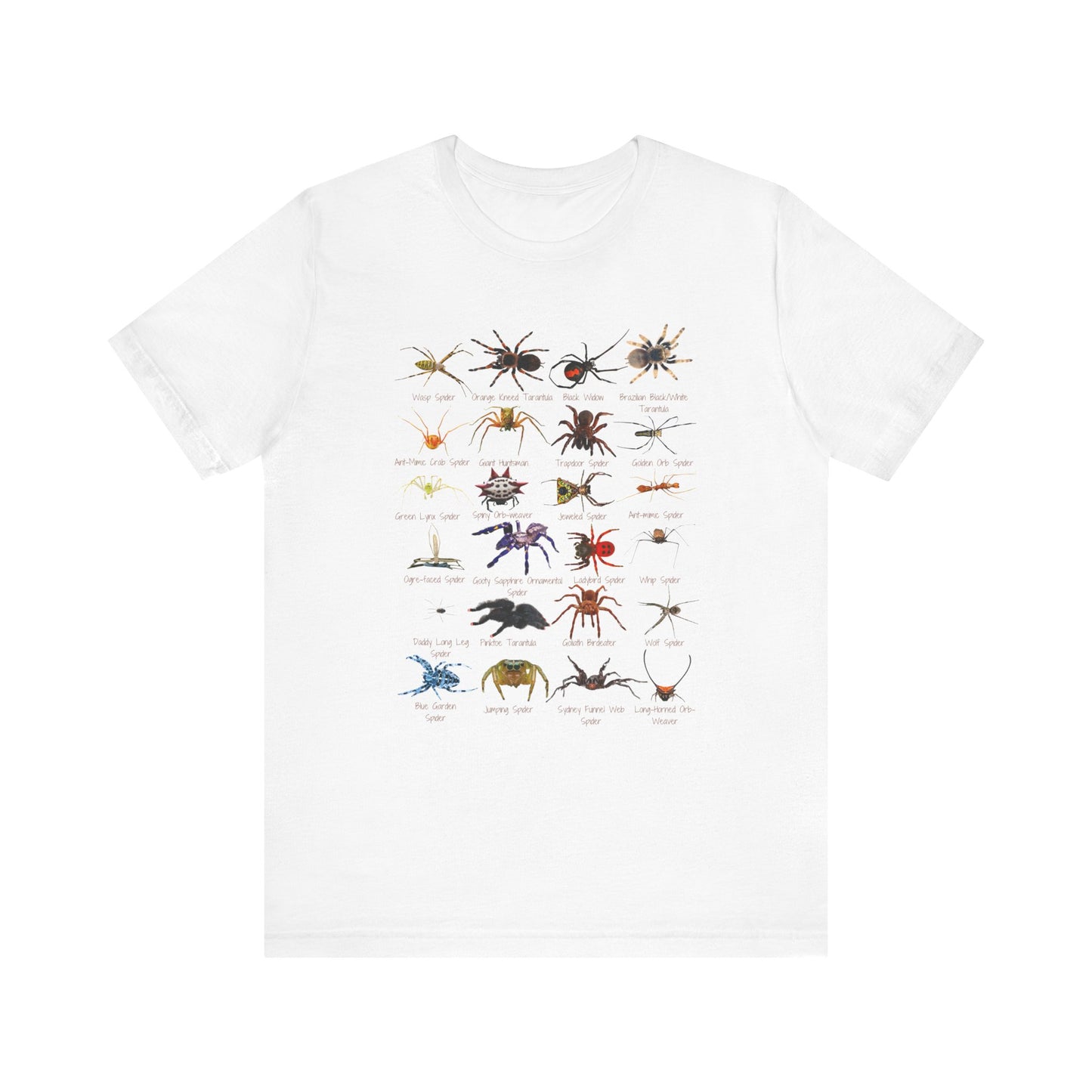 Stupendous Spiders T-shirt with 24 unique spiders