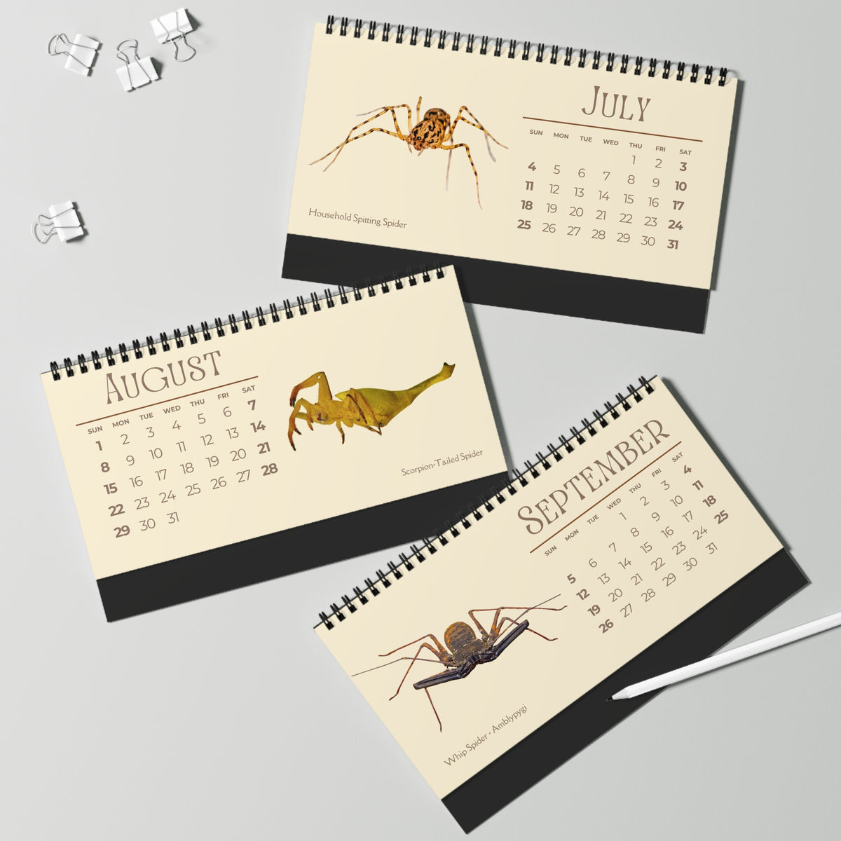 Spiders of 2027 Desktop Calendar