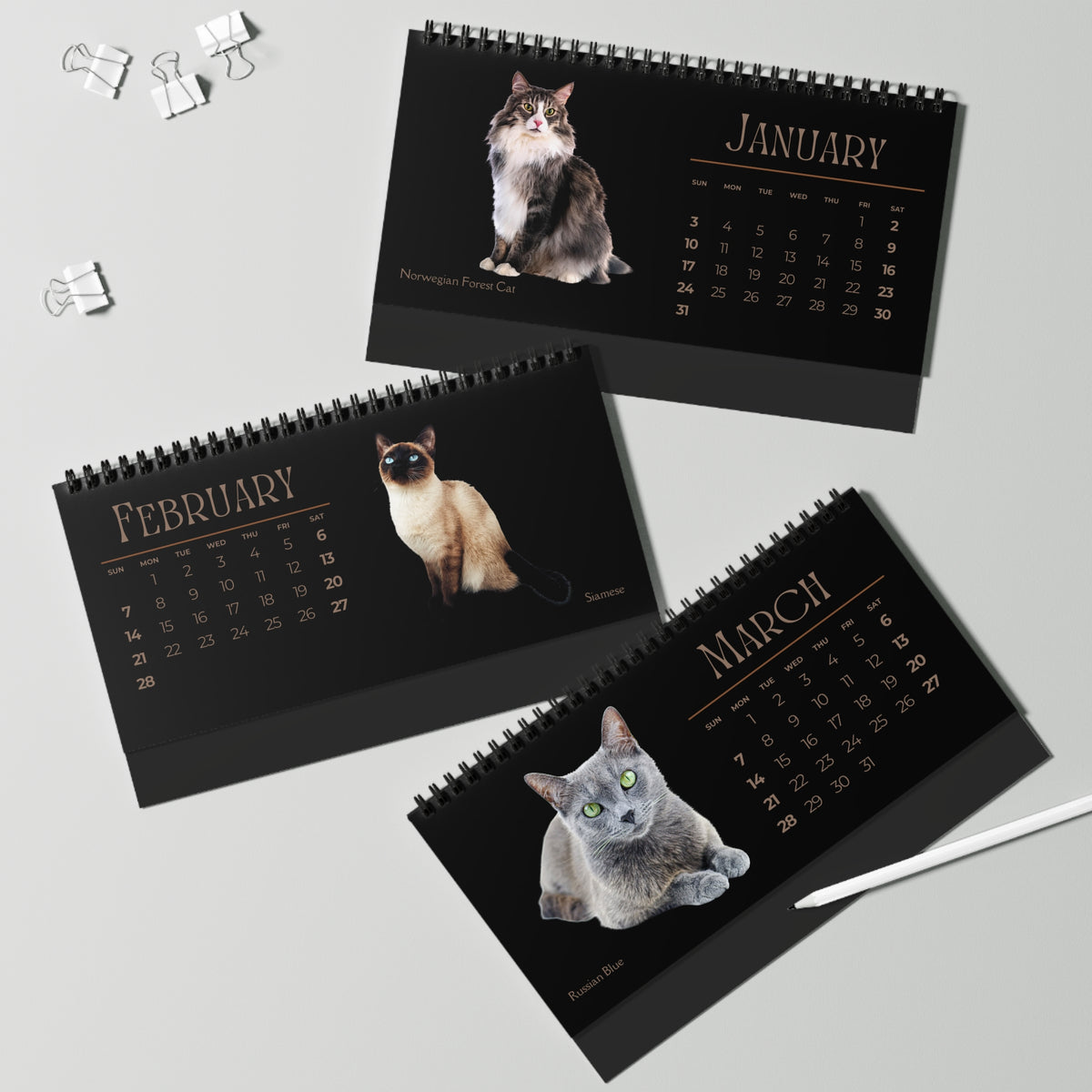 Fantastic Felines of 2027 Desktop Calendar