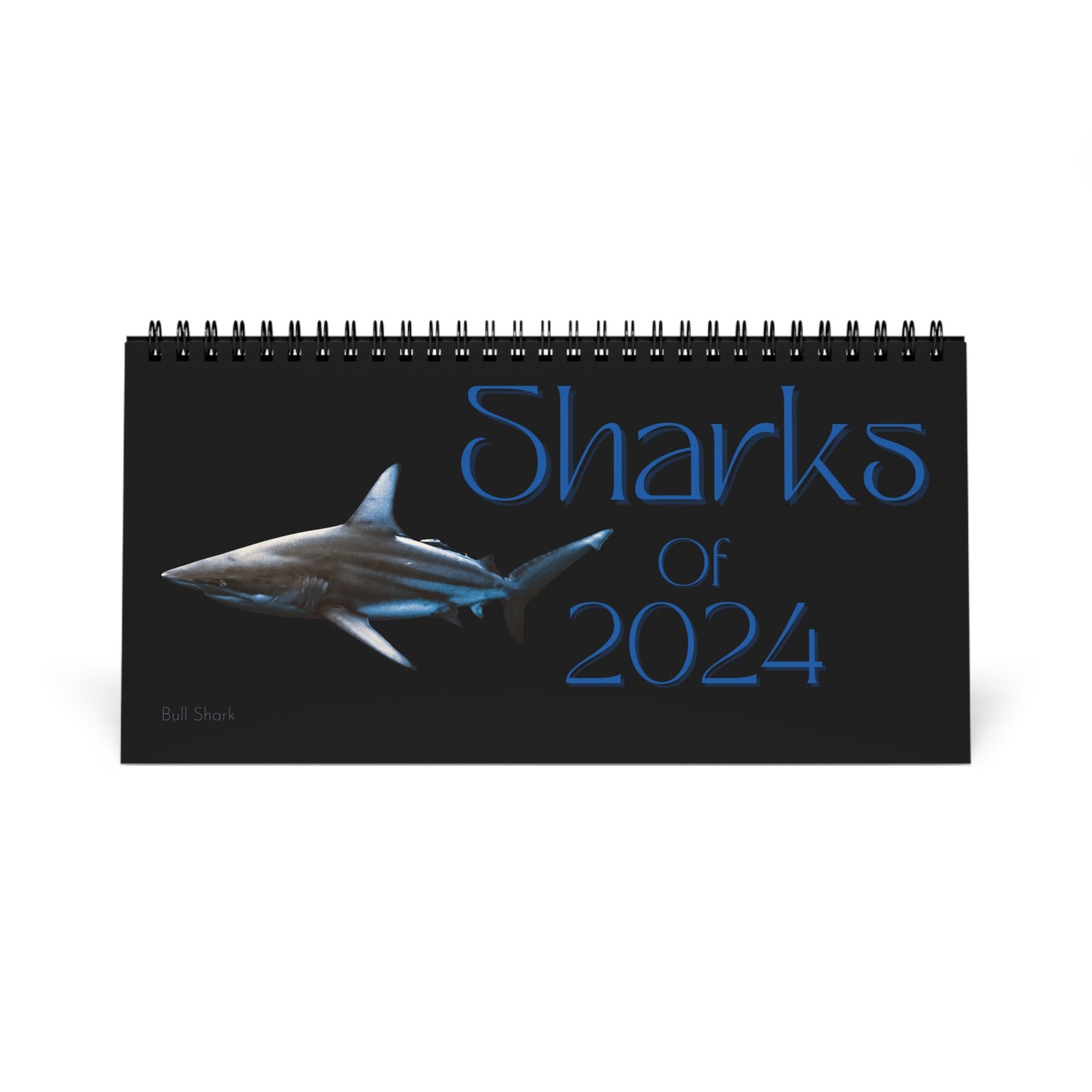 Sharks of 2024 Desk Calendar