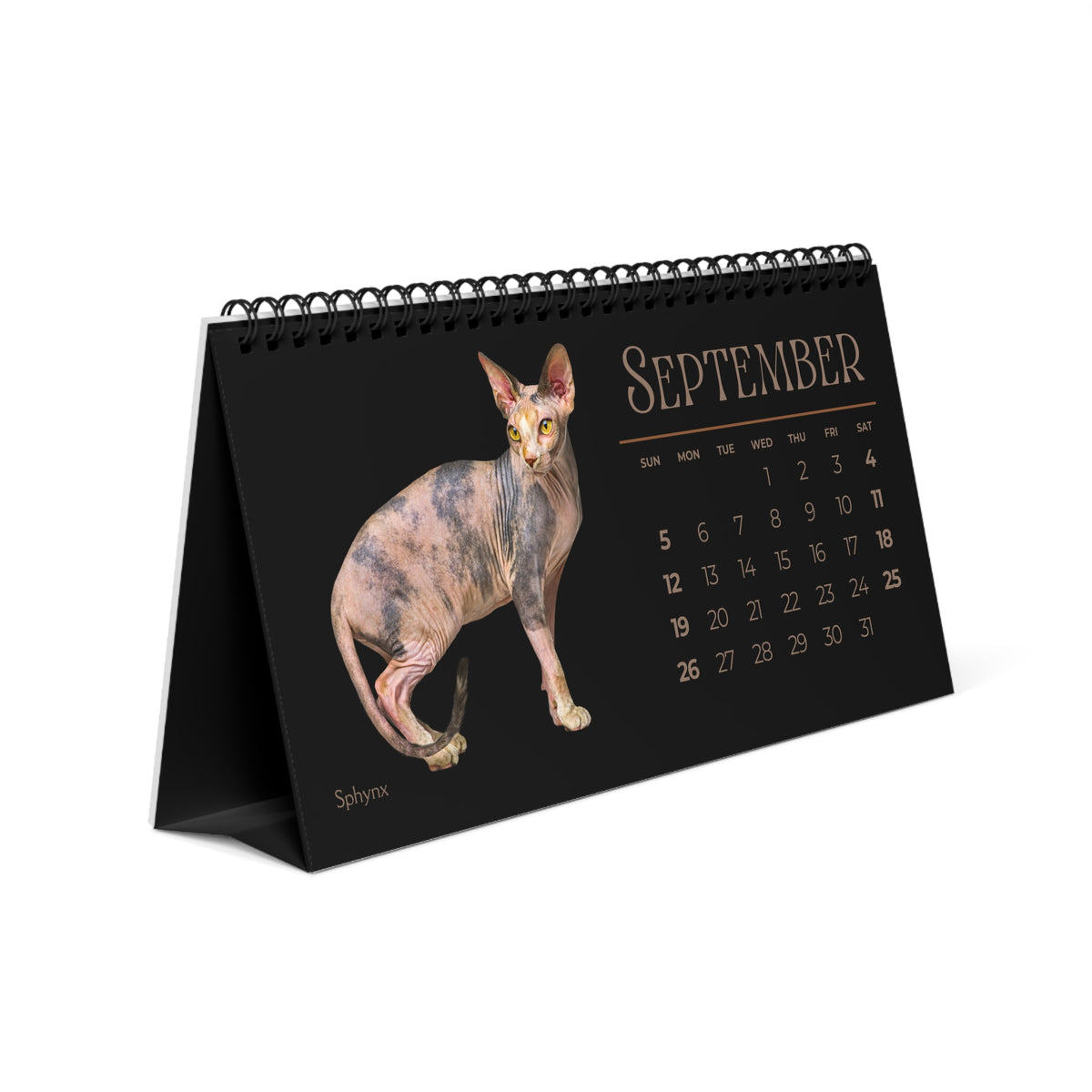 Fantastic Felines of 2027 Desktop Calendar