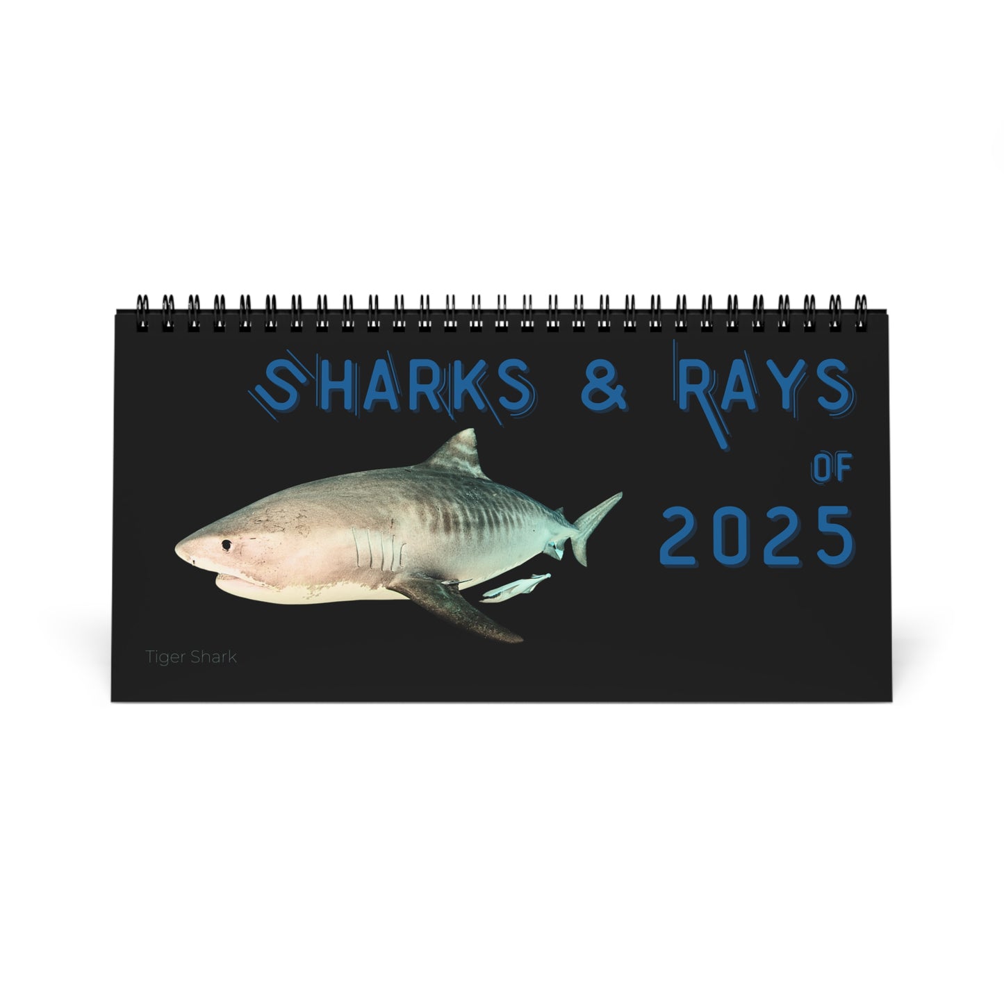 Sharks & Rays of 2025 Desktop Calendar