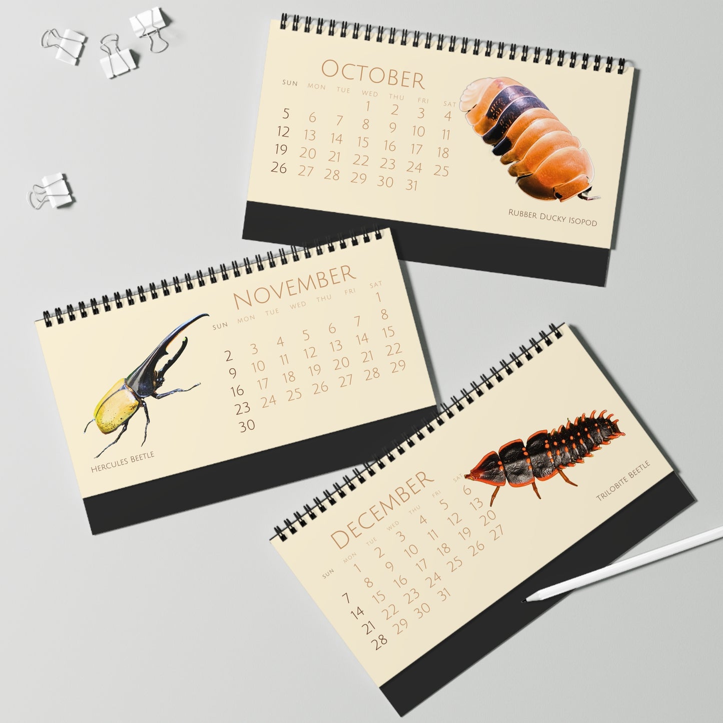 Incredible Insects of 2025 Desktop Calendar