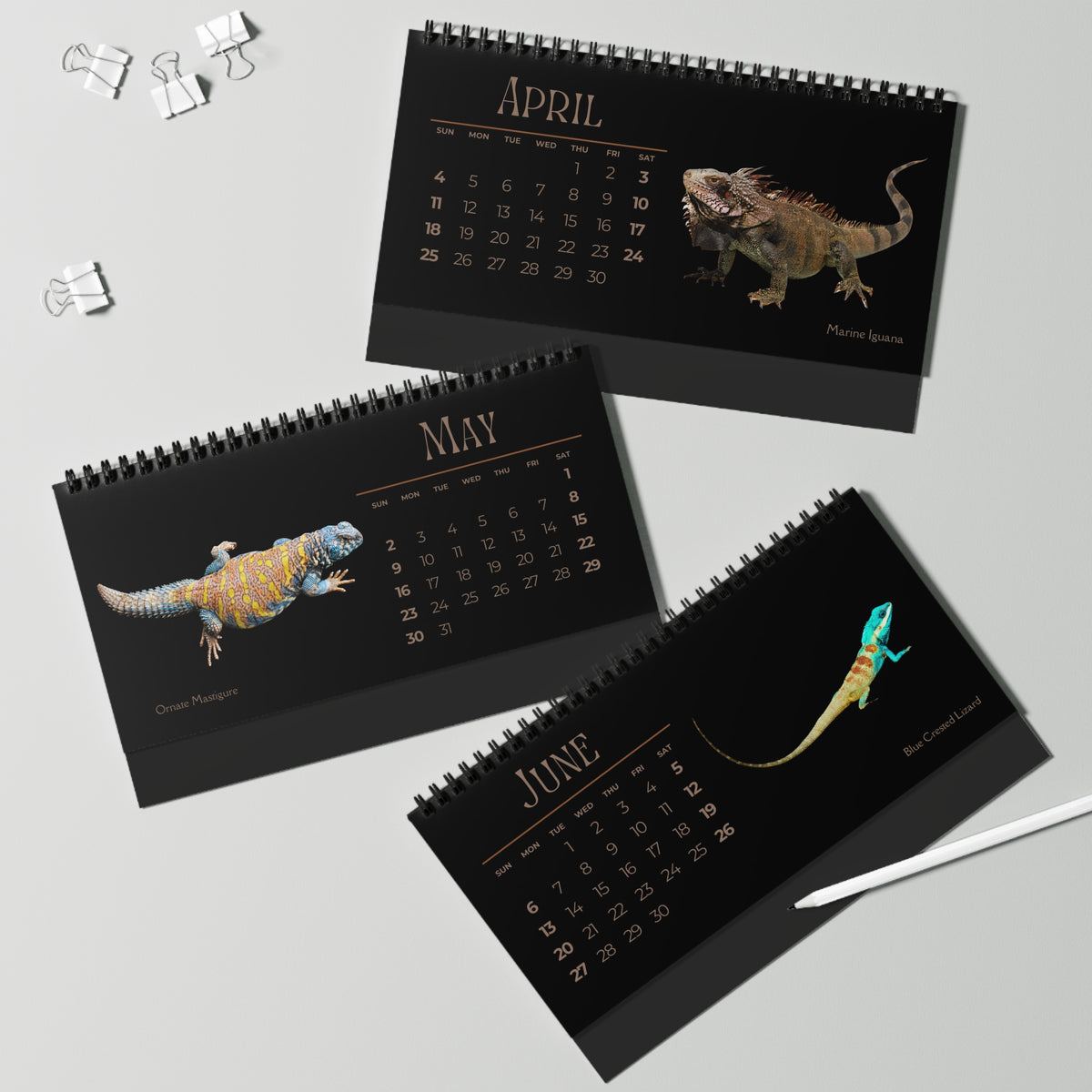 Legendary Lizards of 2027 Desktop Calendar