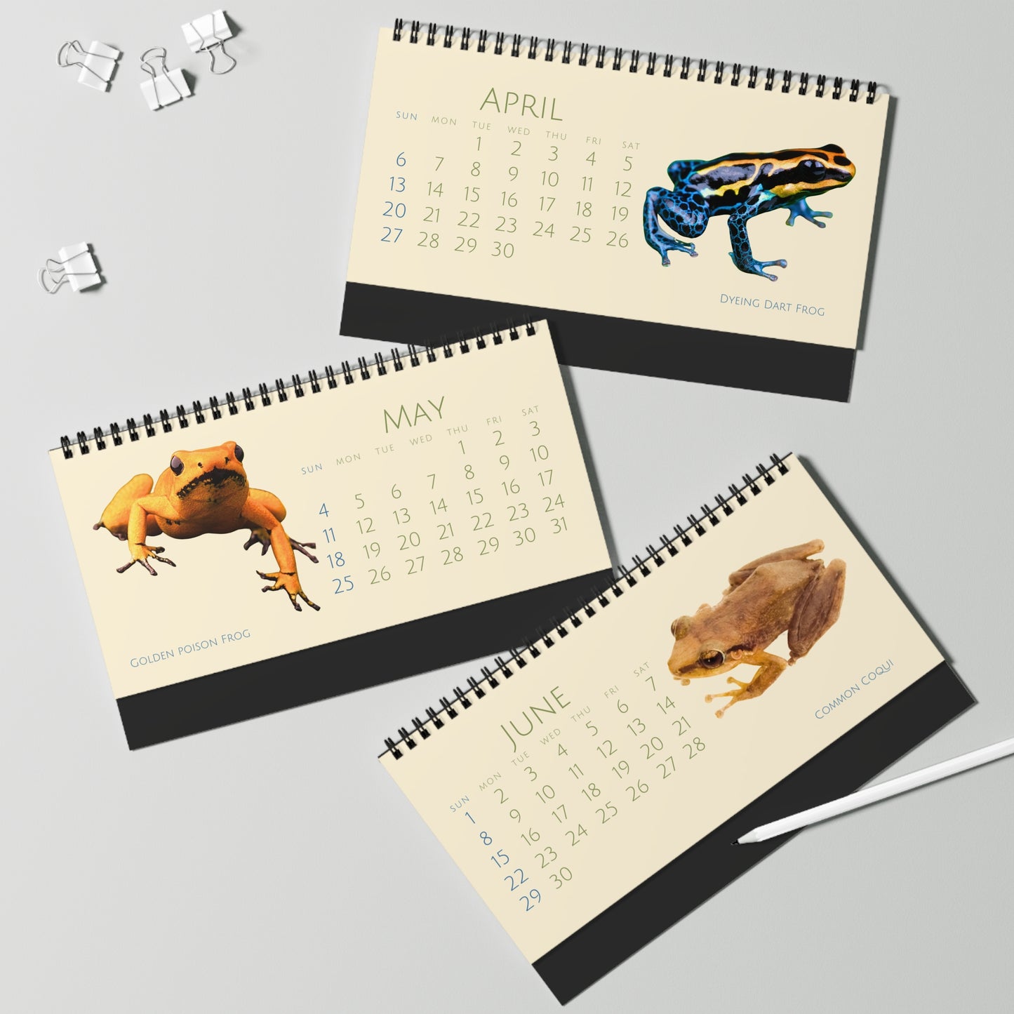 Frogs & Toads of 2025 Desktop Calendar