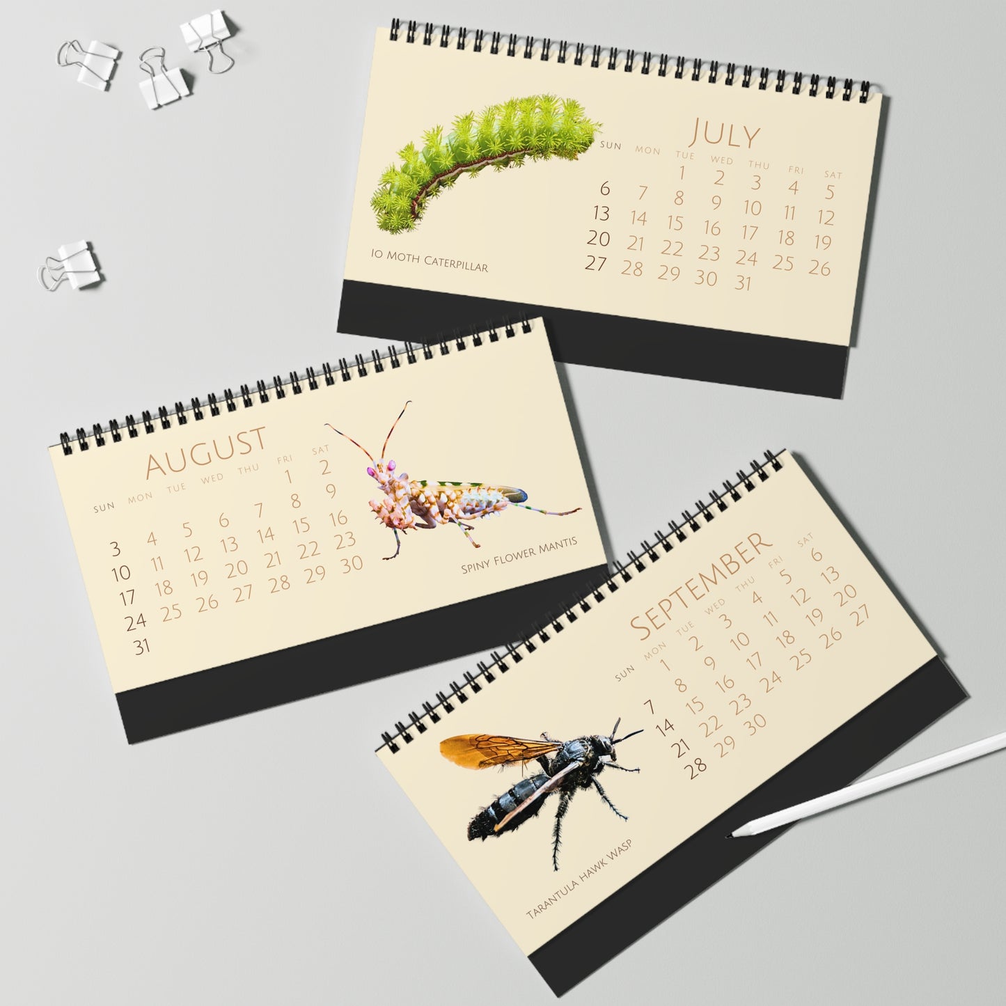 Incredible Insects of 2025 Desktop Calendar