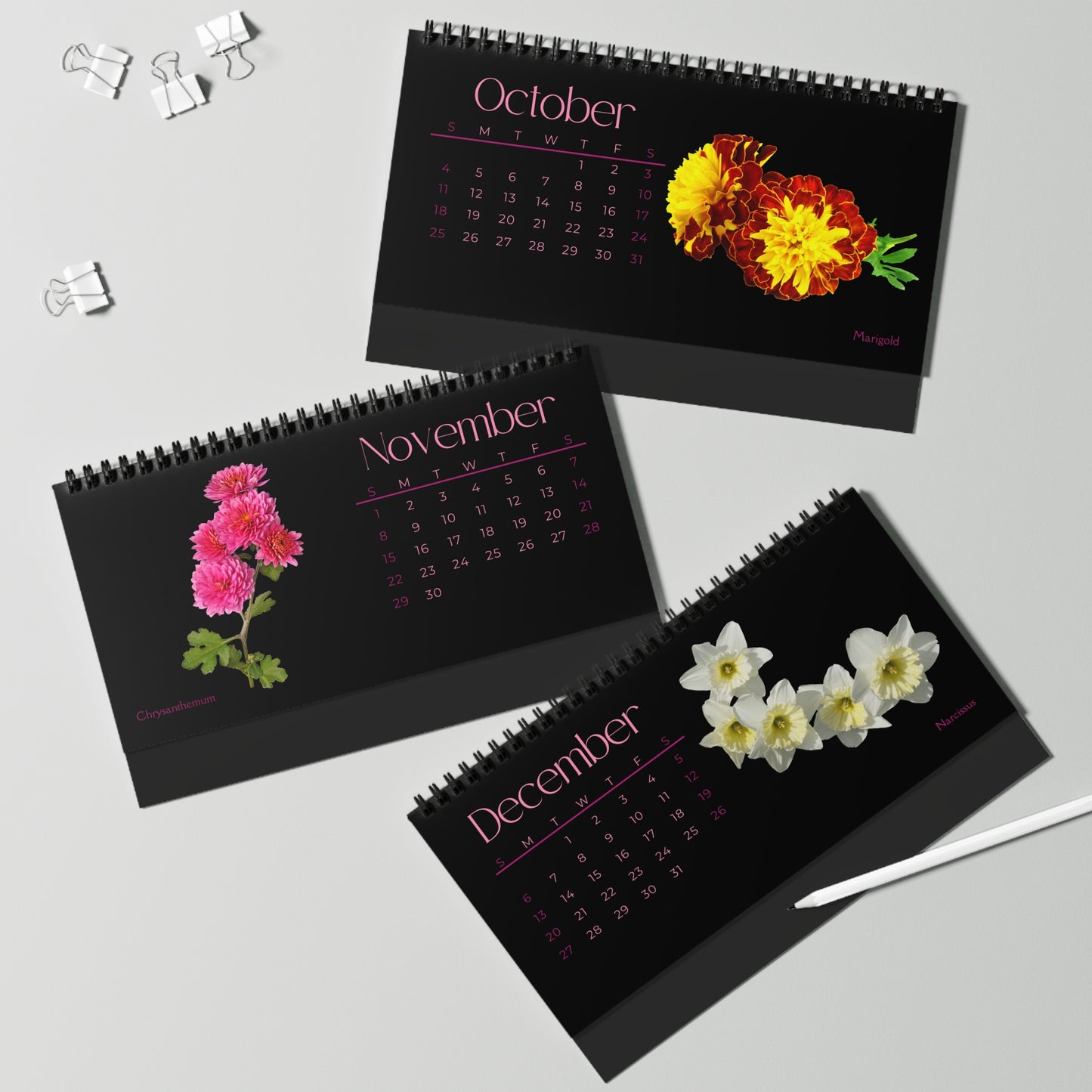 Birth Month Flowers of 2026 Desktop Calendar