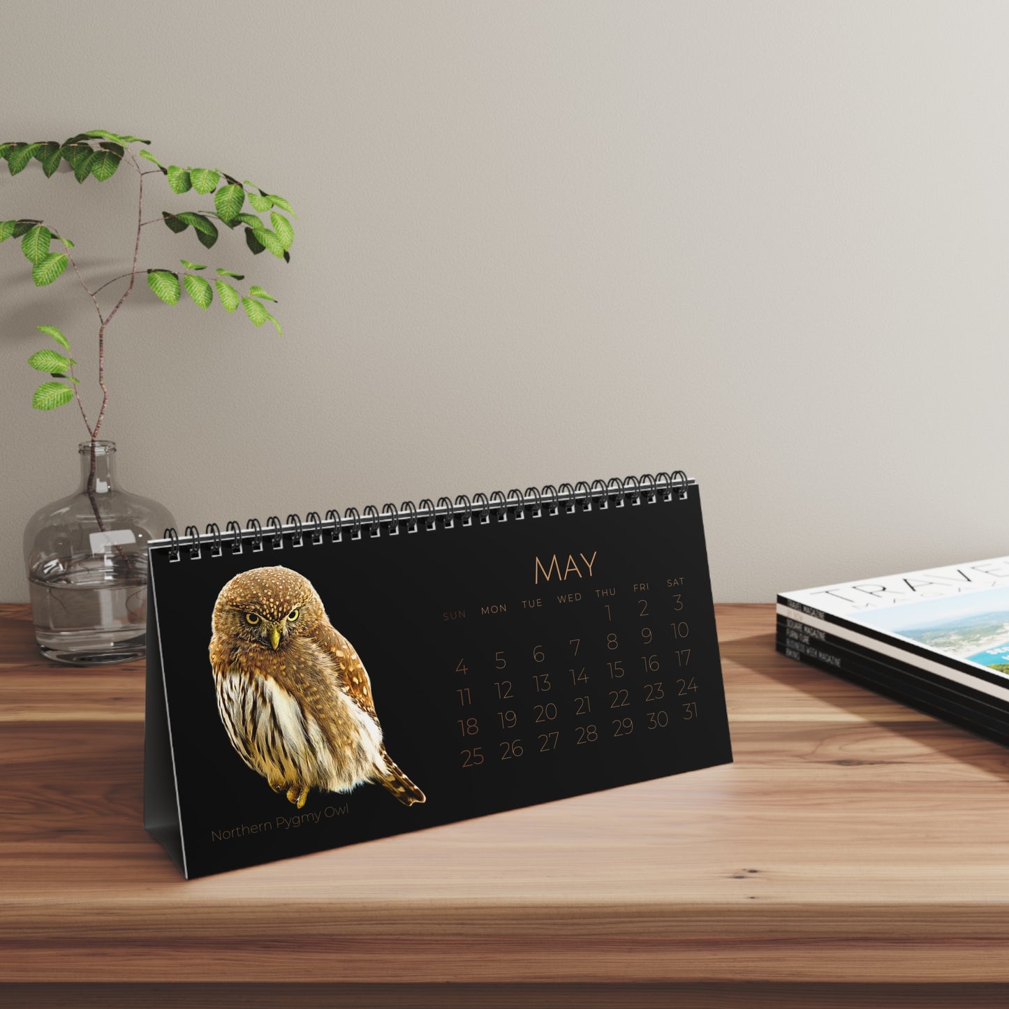 Owls of 2025 Desktop Calendar