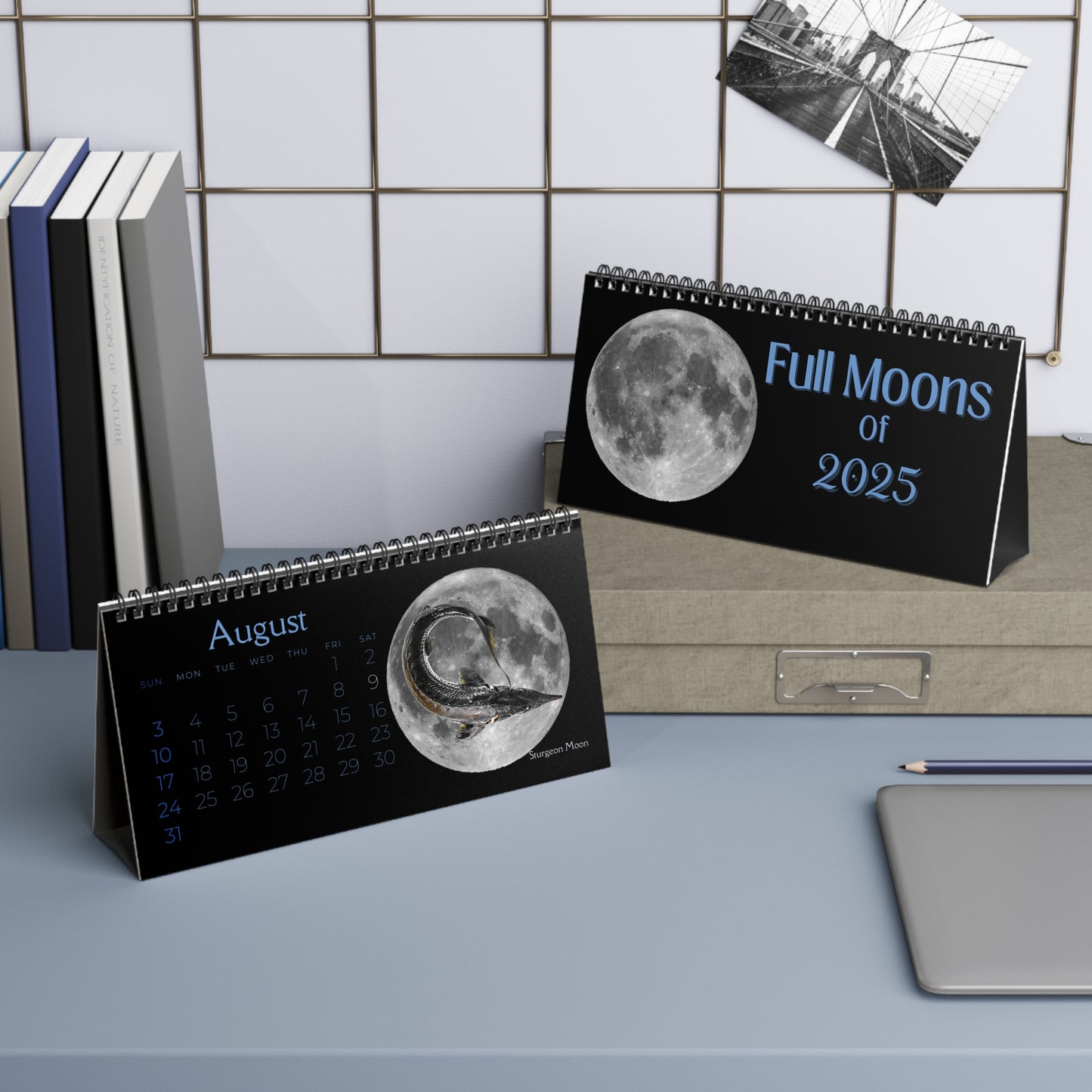 Full Moons of 2025 Desktop Calendar