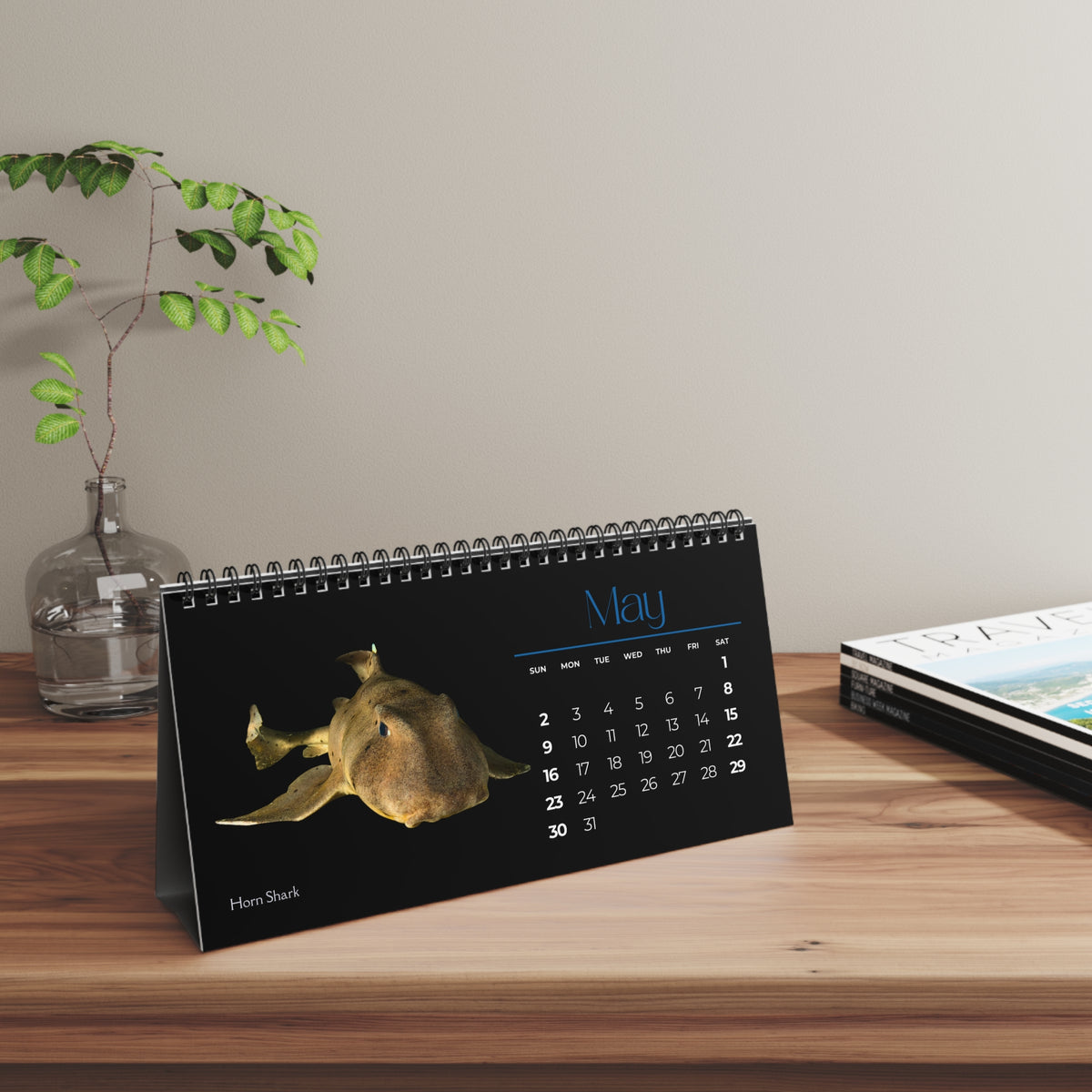 Sharks & Rays of 2027 Desktop Calendar