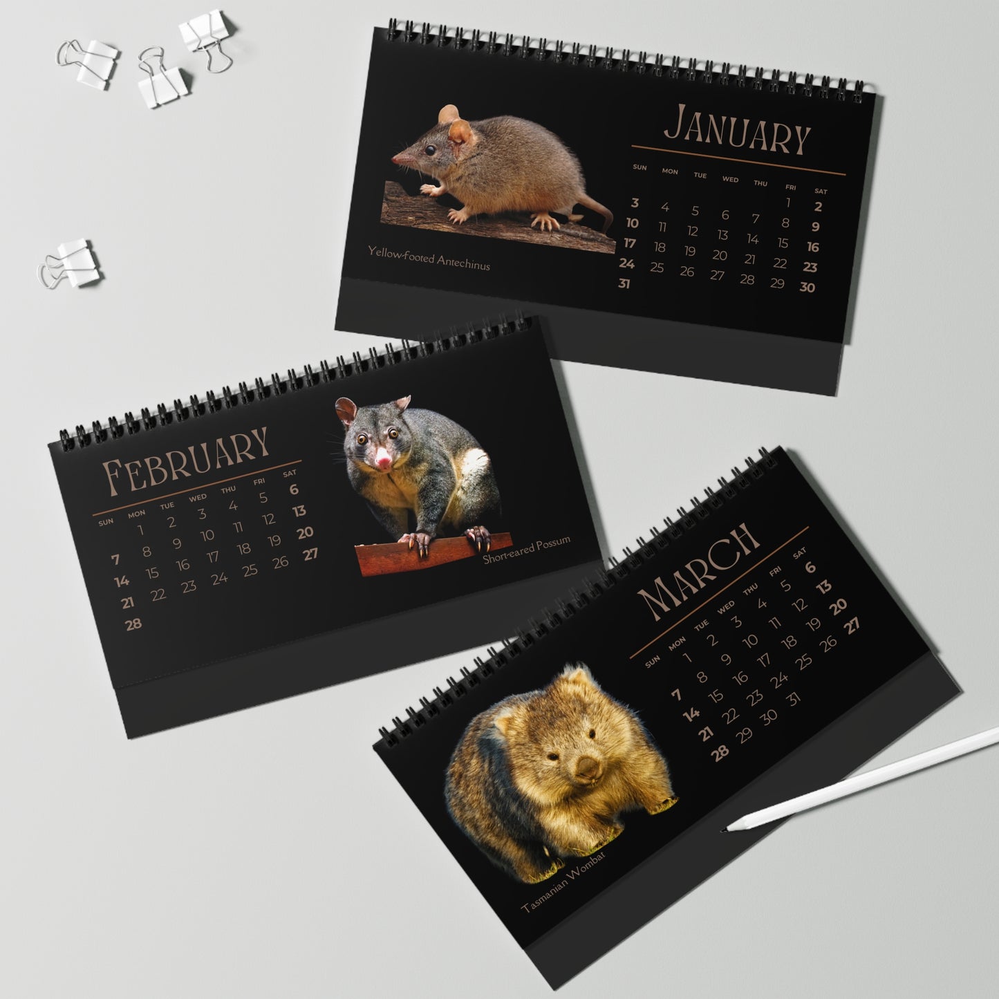 Magnificent Marsupials of 2027 Desktop Calendar