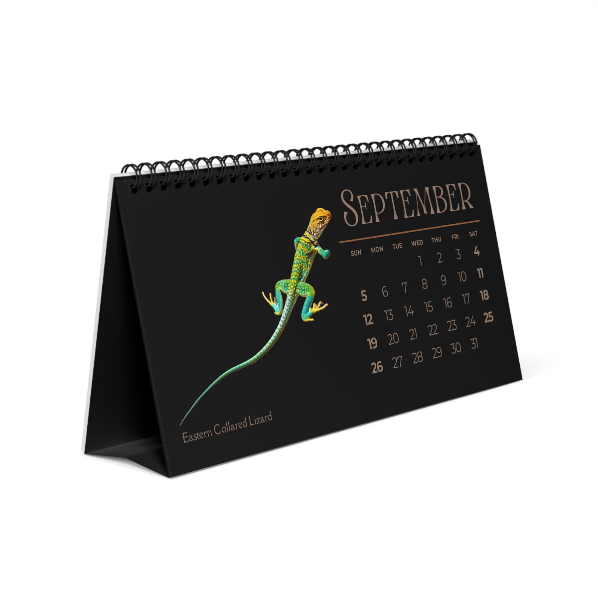 Legendary Lizards of 2027 Desktop Calendar