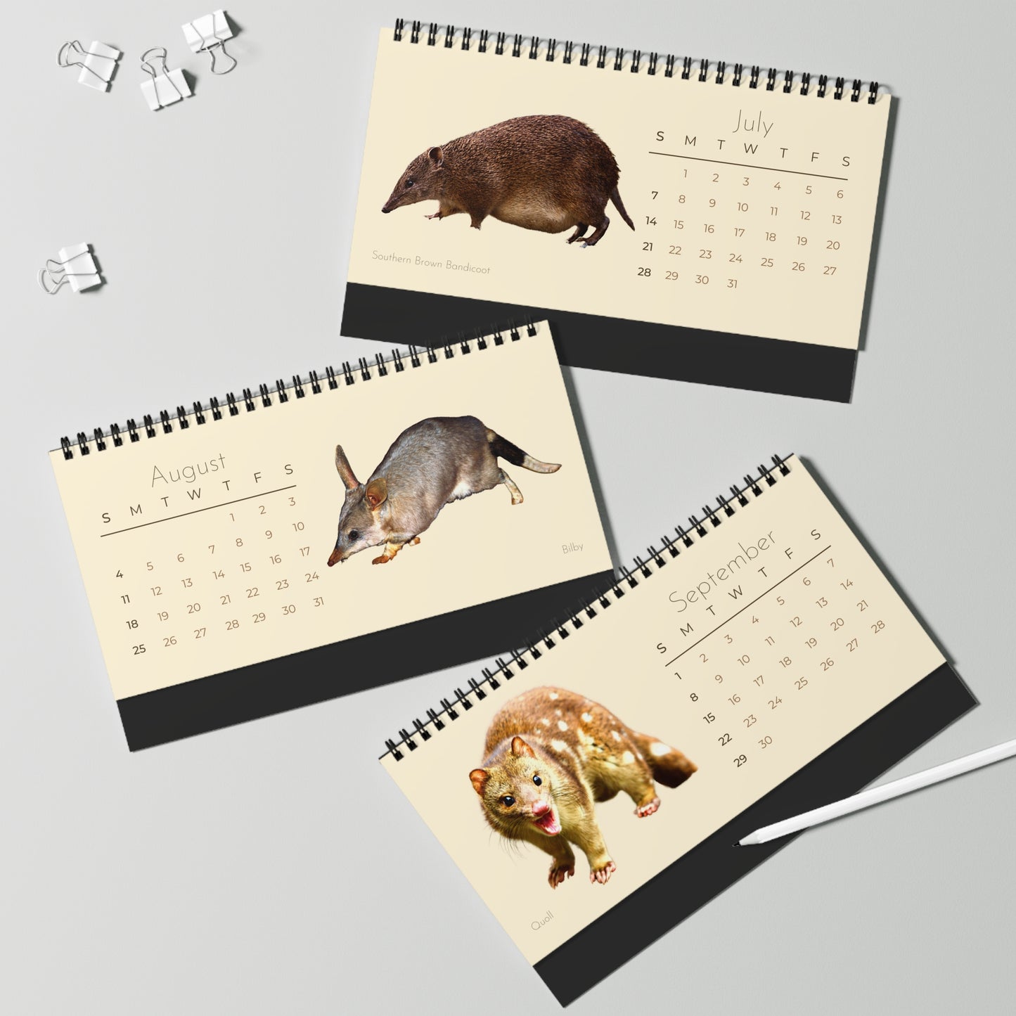 Magical Marsupials of 2024 Desk Calendar
