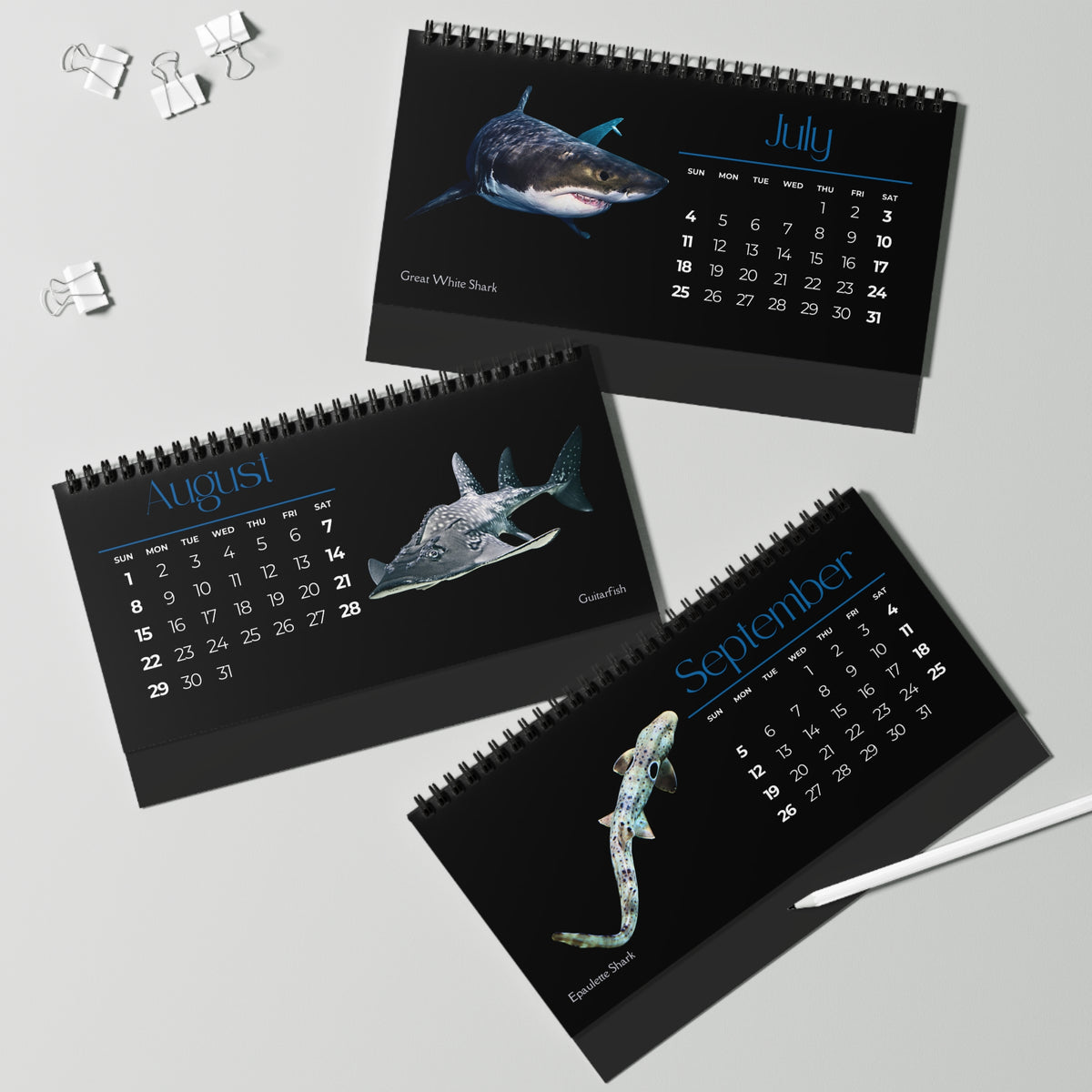 Sharks & Rays of 2027 Desktop Calendar
