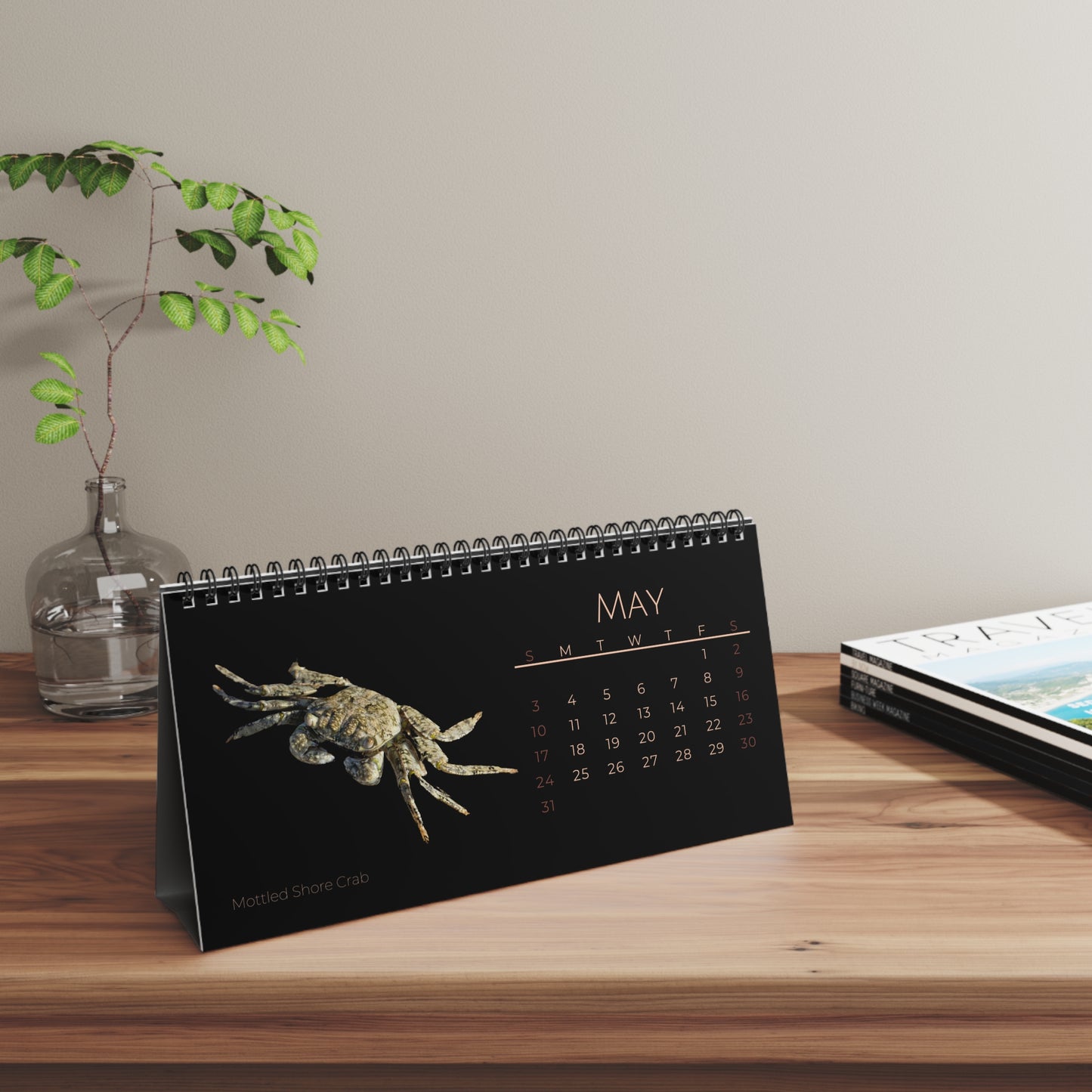 Captivating Crabs of 2026 Desktop Calendar