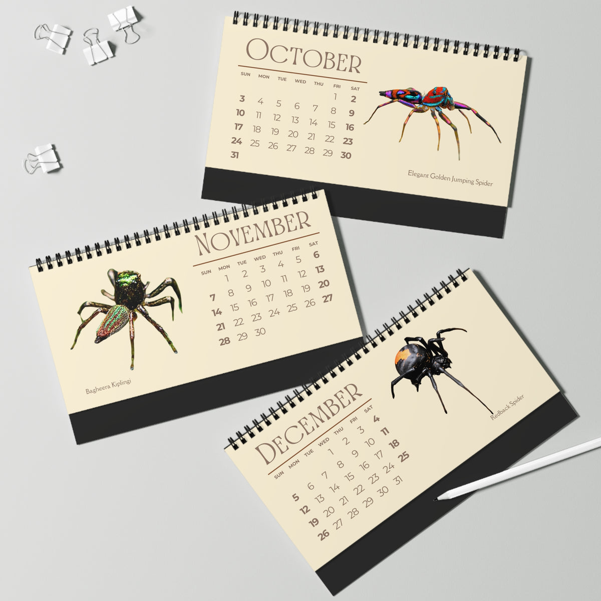 Spiders of 2027 Desktop Calendar
